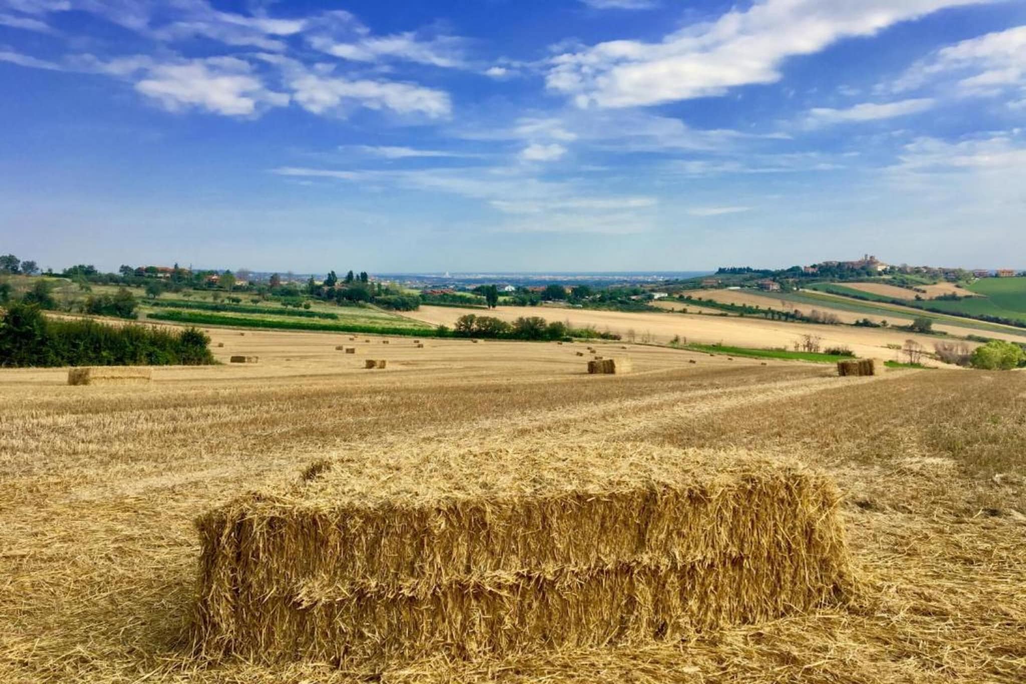 Fratello Campo-Gebiete Sommer 5 km