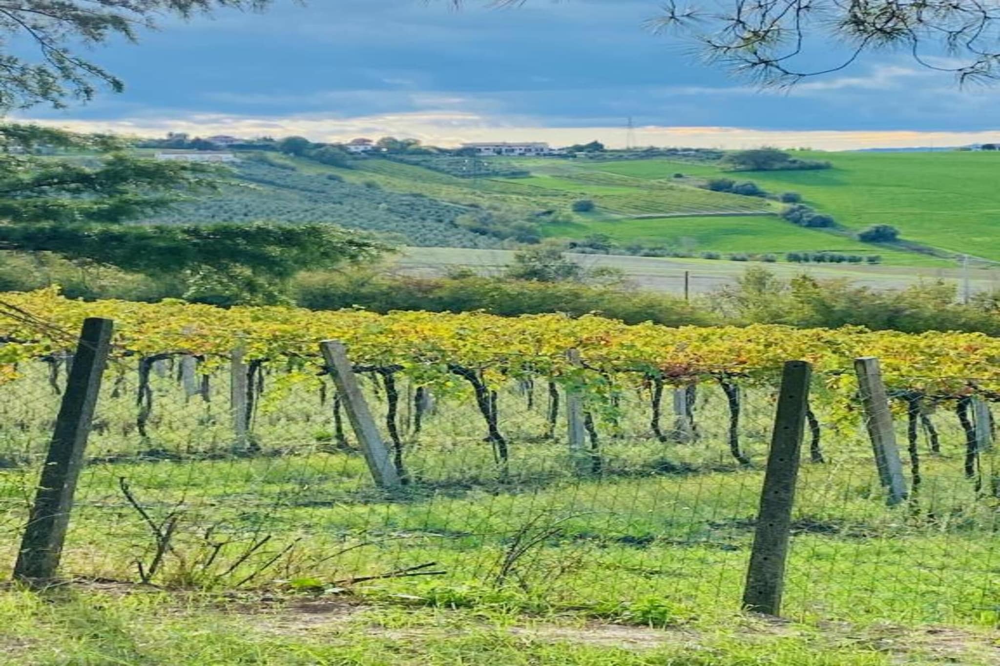 Fratello Campo-Gebiete Sommer 5 km