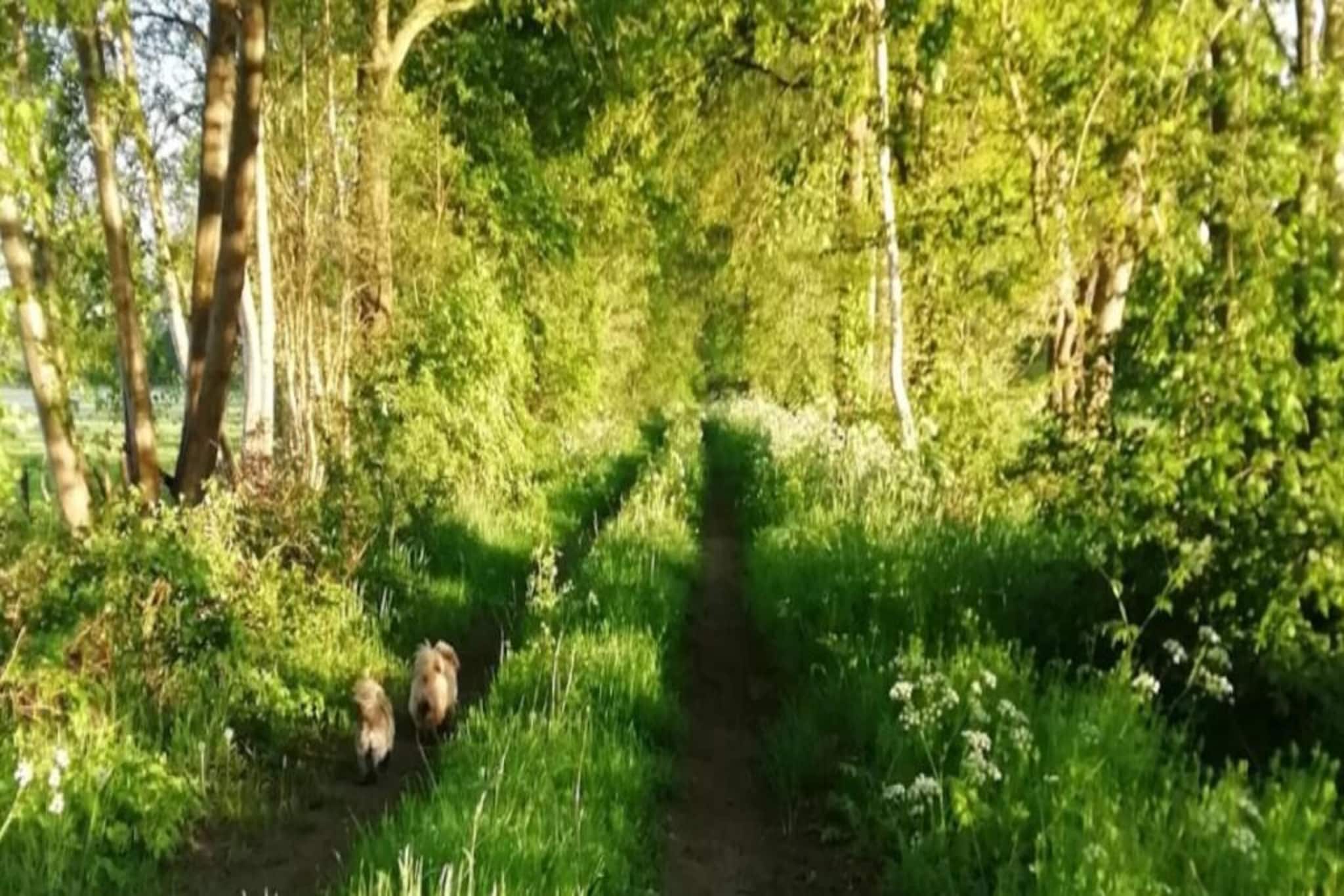 Twentepad-Gebieden zomer 20km