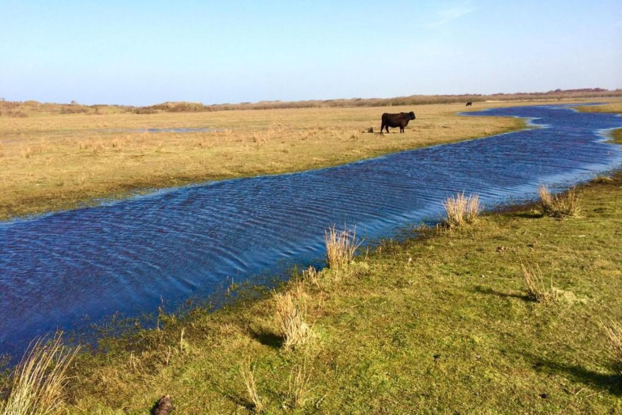 't Hoogelandt 3-Gebieden zomer 20km