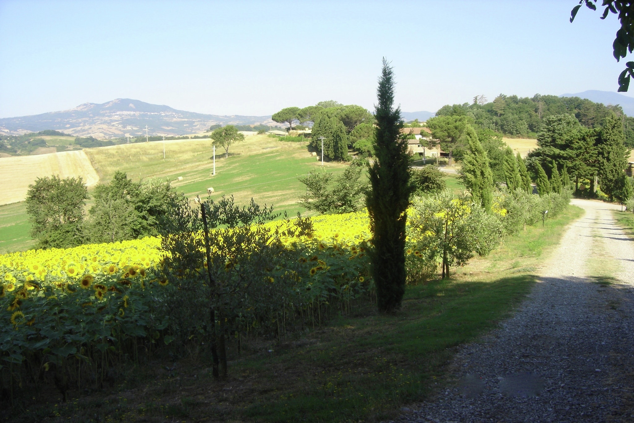 Il Capitello-Areas summer 1km