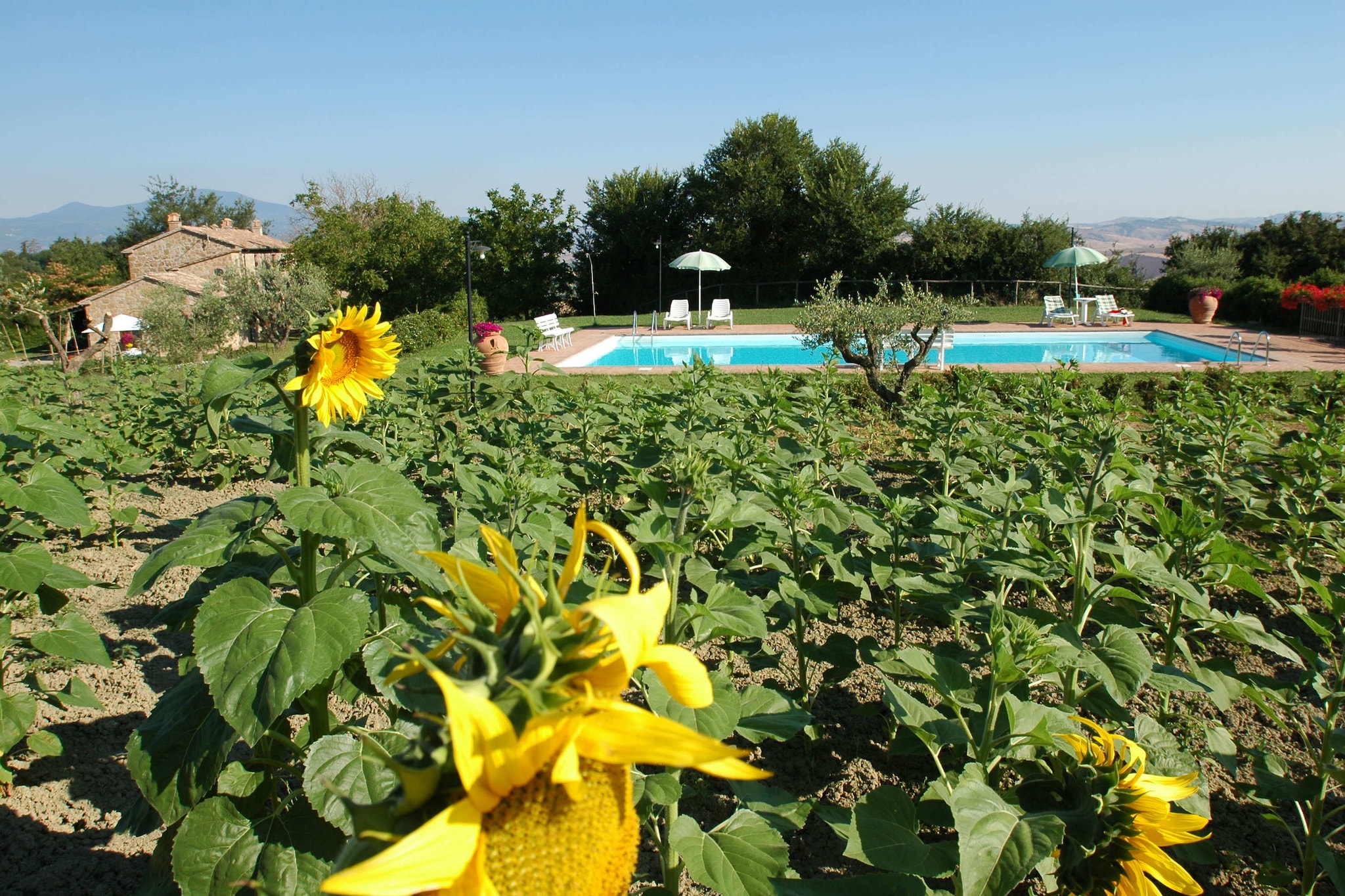 Agriturismo op een heuvel met zwembad, ruime tuin en mooi uitzicht