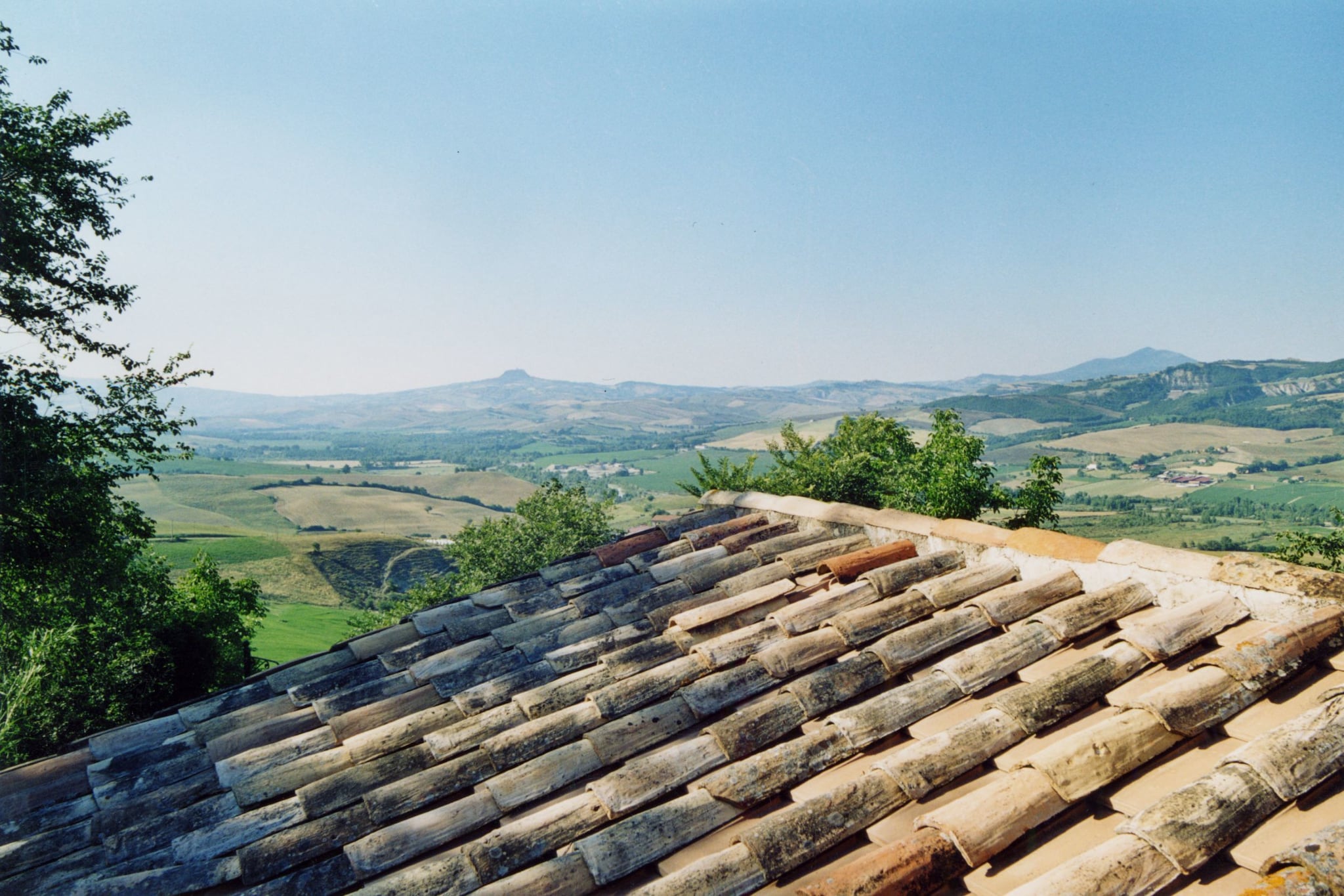 View Summer