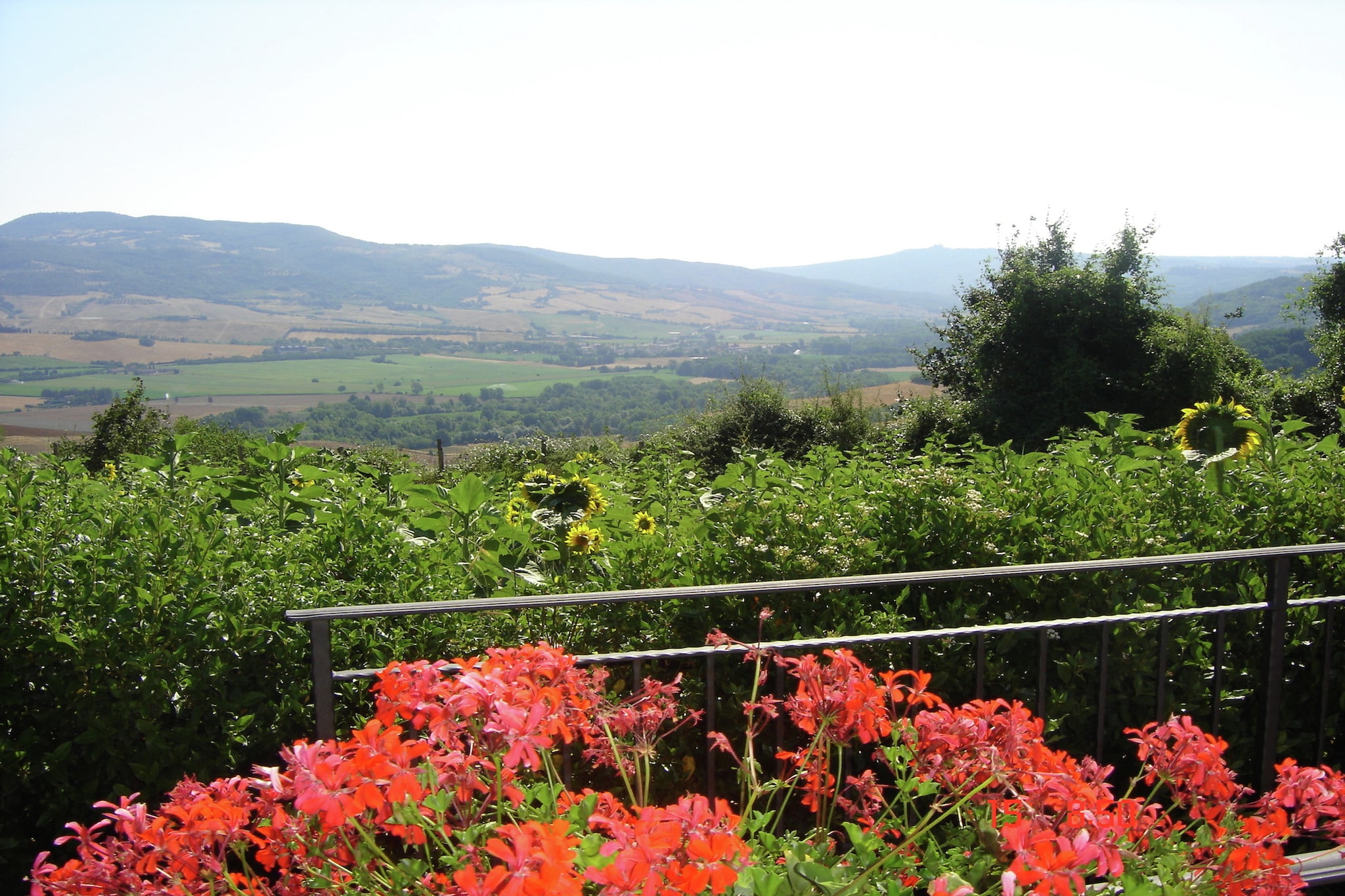 View Summer