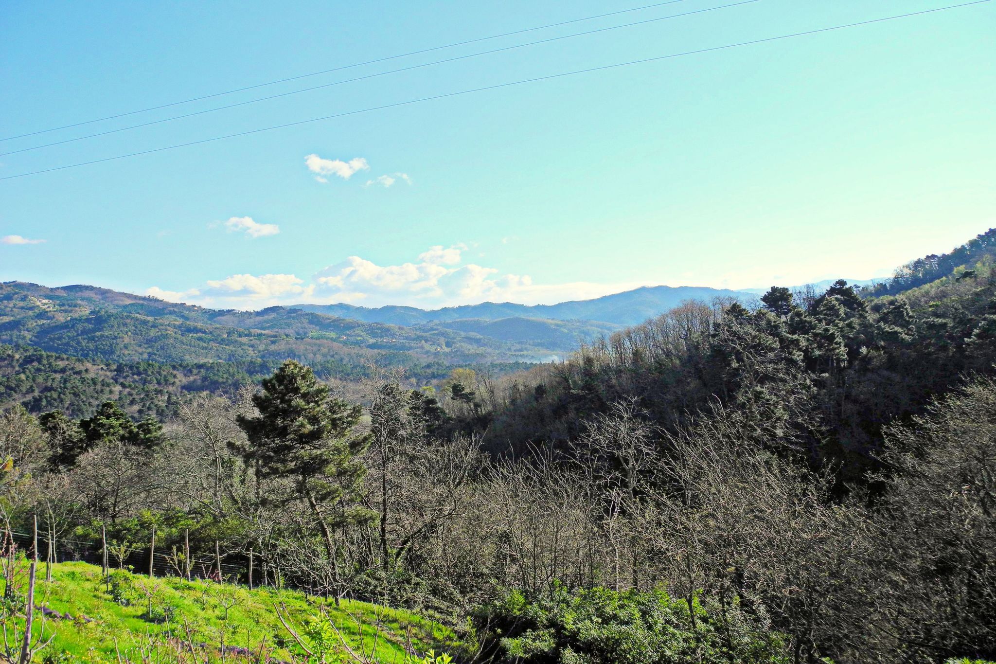Woning in de heuvels rond Lucca, bij bedrijf dat biologische honing produceert