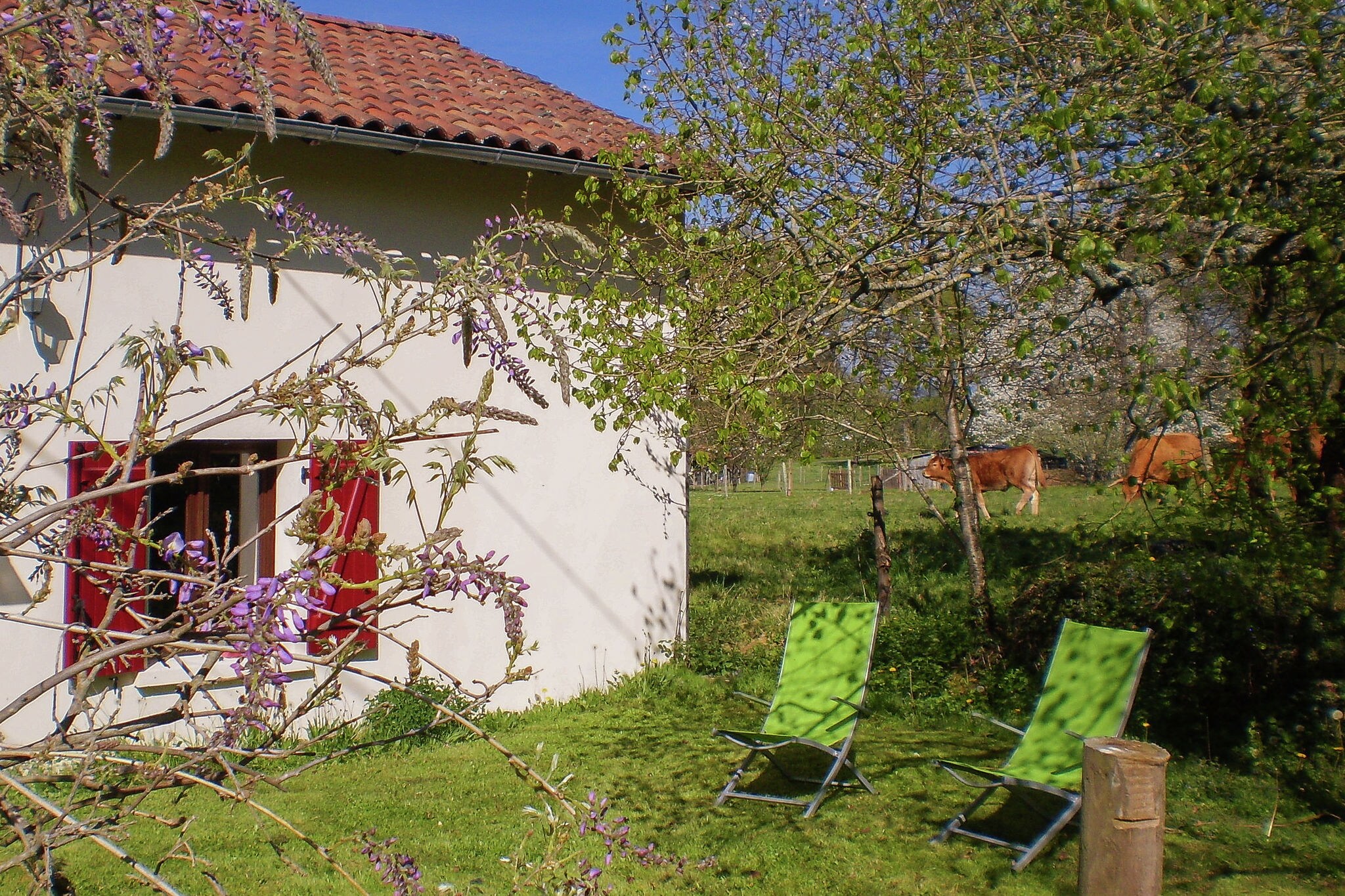 Comfortable Cottage in Champsac near Forest