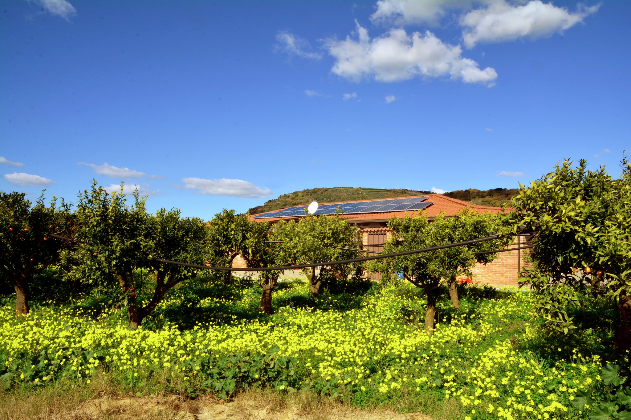 Exterior Summer