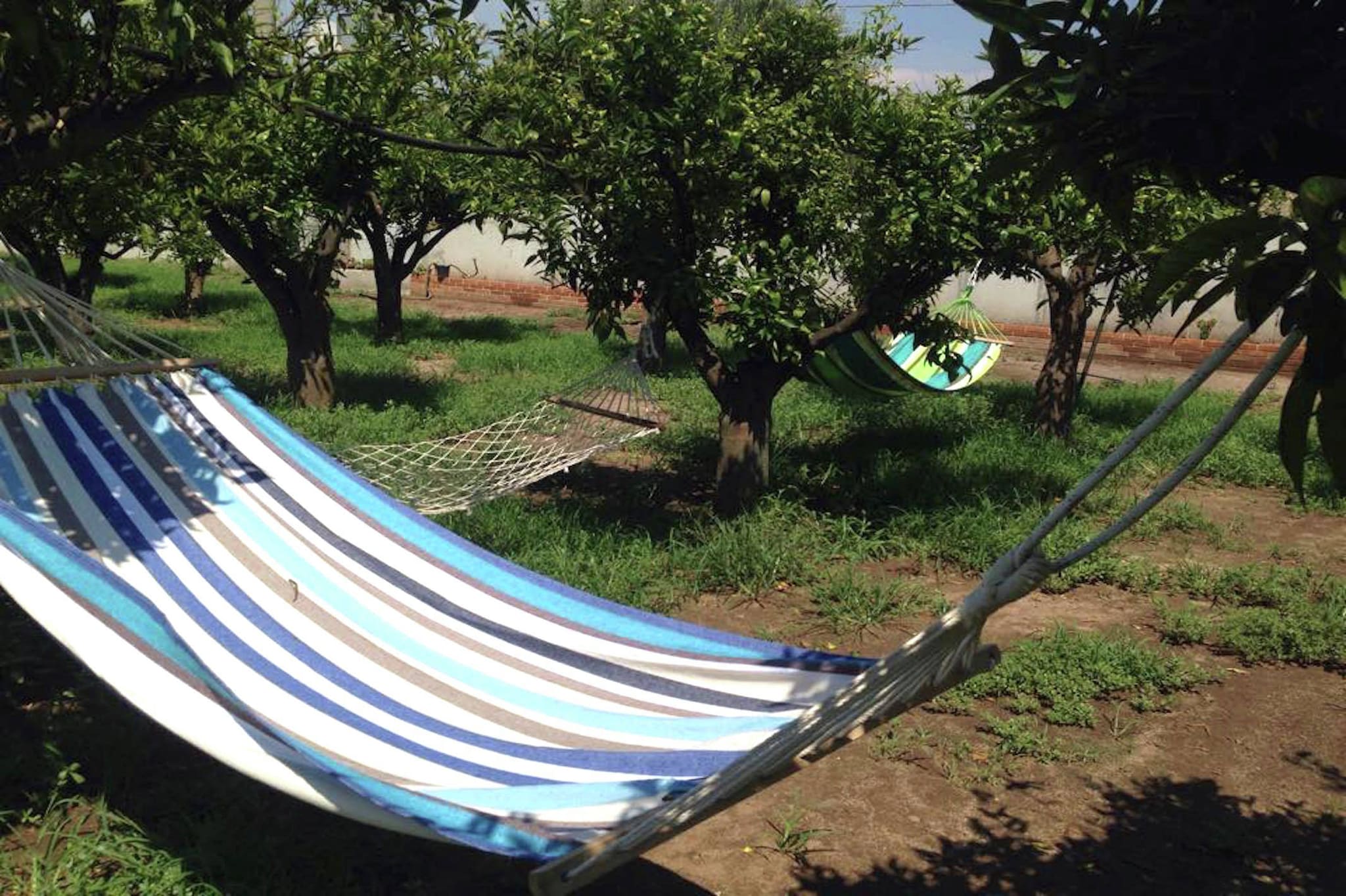 Garden Summer