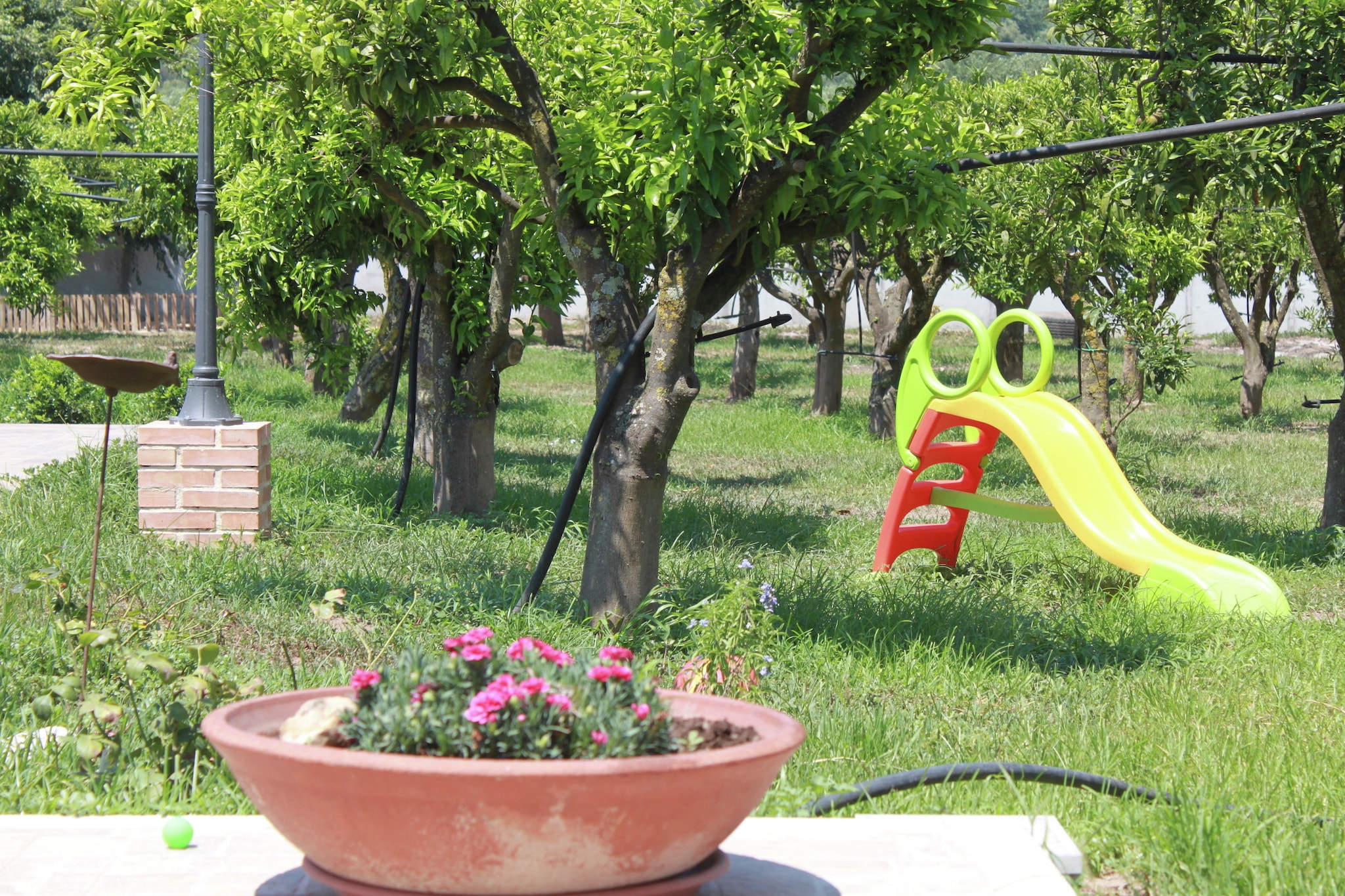 Garden Summer