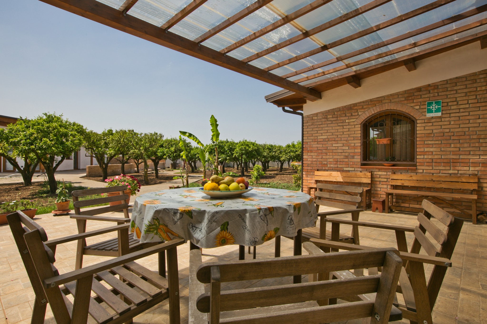 Terrace Balcony