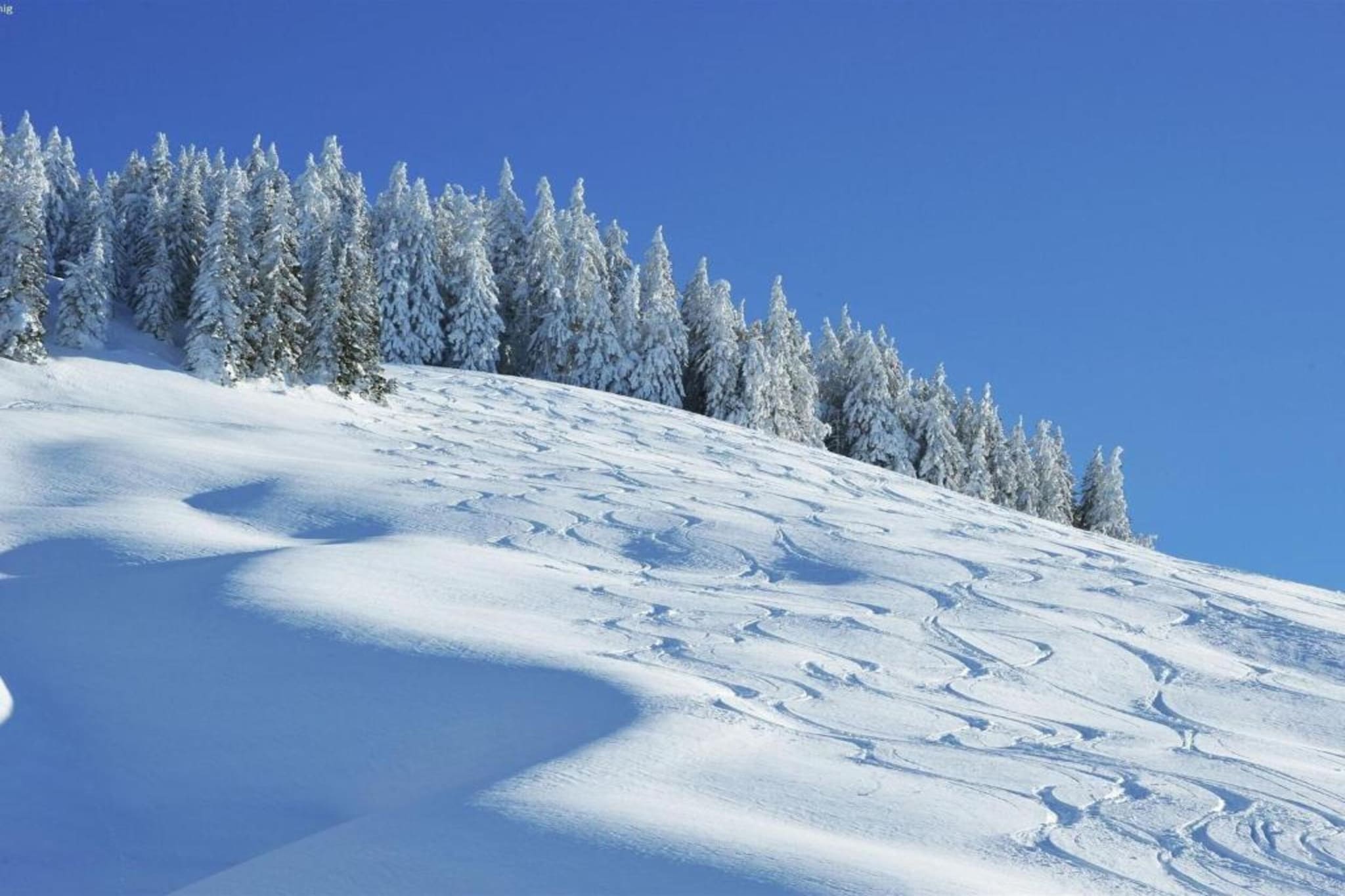 Chalet Apartment Mittenwald Top 2-Gebied winter 20km