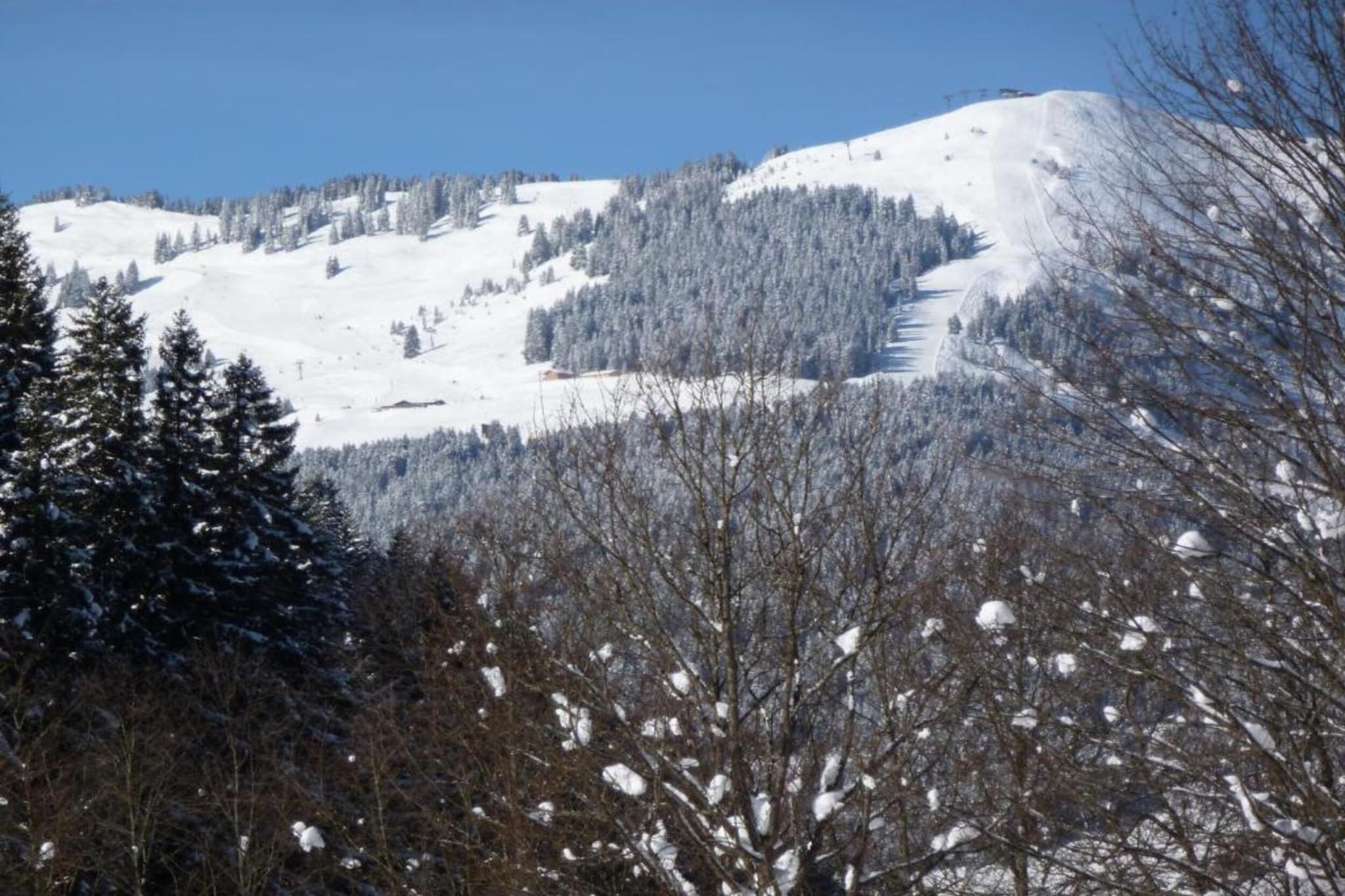 Chalet Apartment Mittenwald XL-Gebied winter 20km
