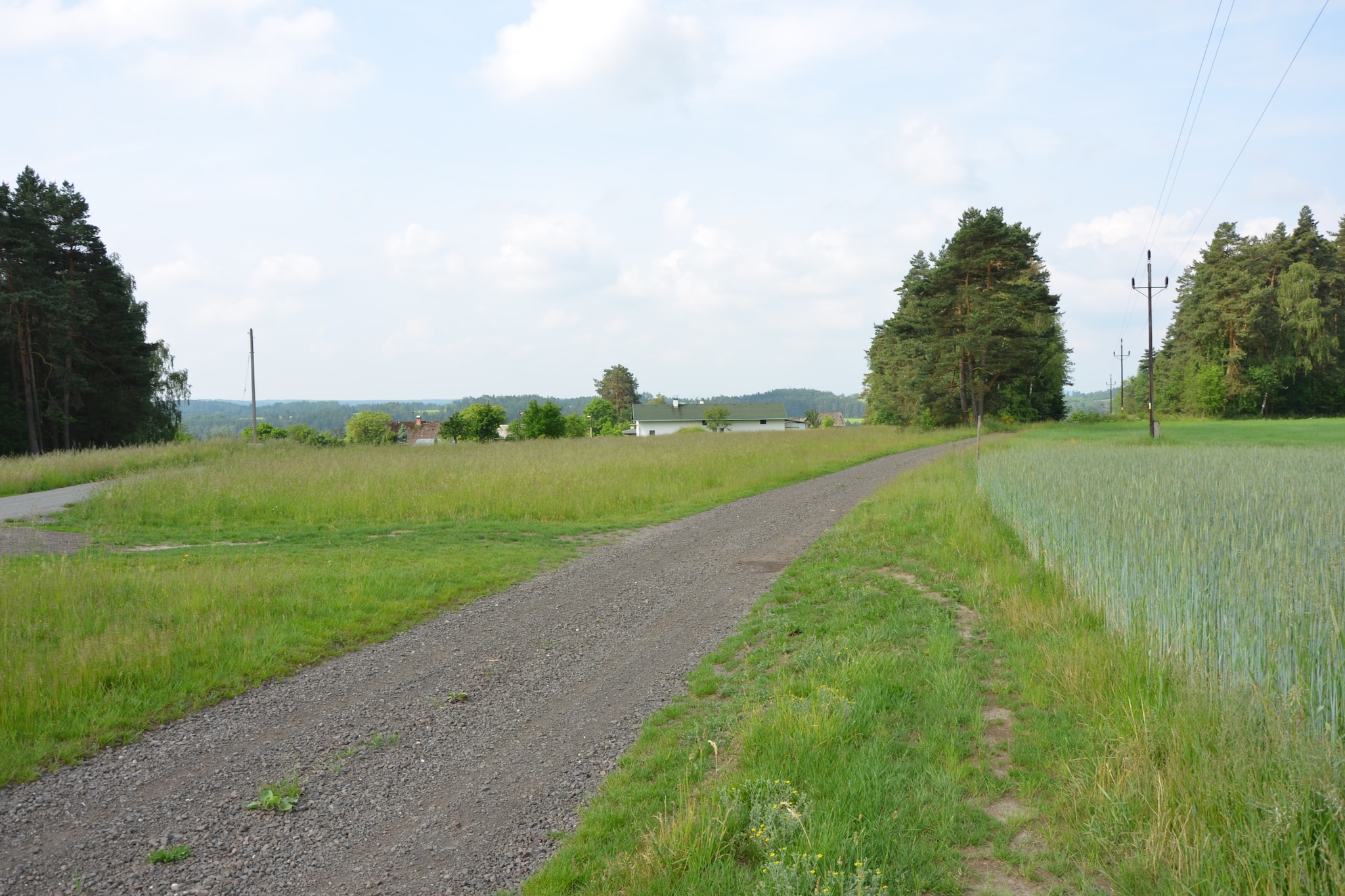 Vendy-Gebieden zomer 1km