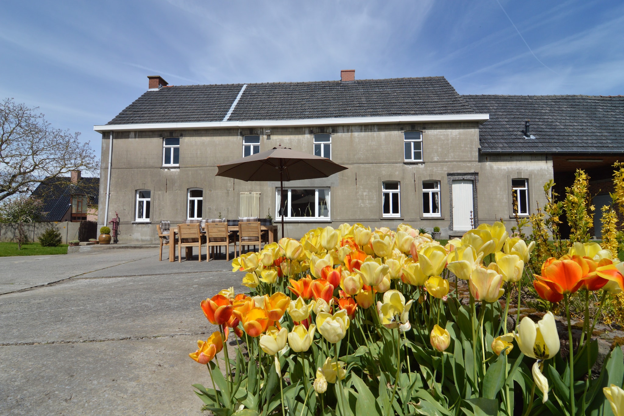Vakantiehuis Zwalm max. 6 personen 3 slaapkamers #6