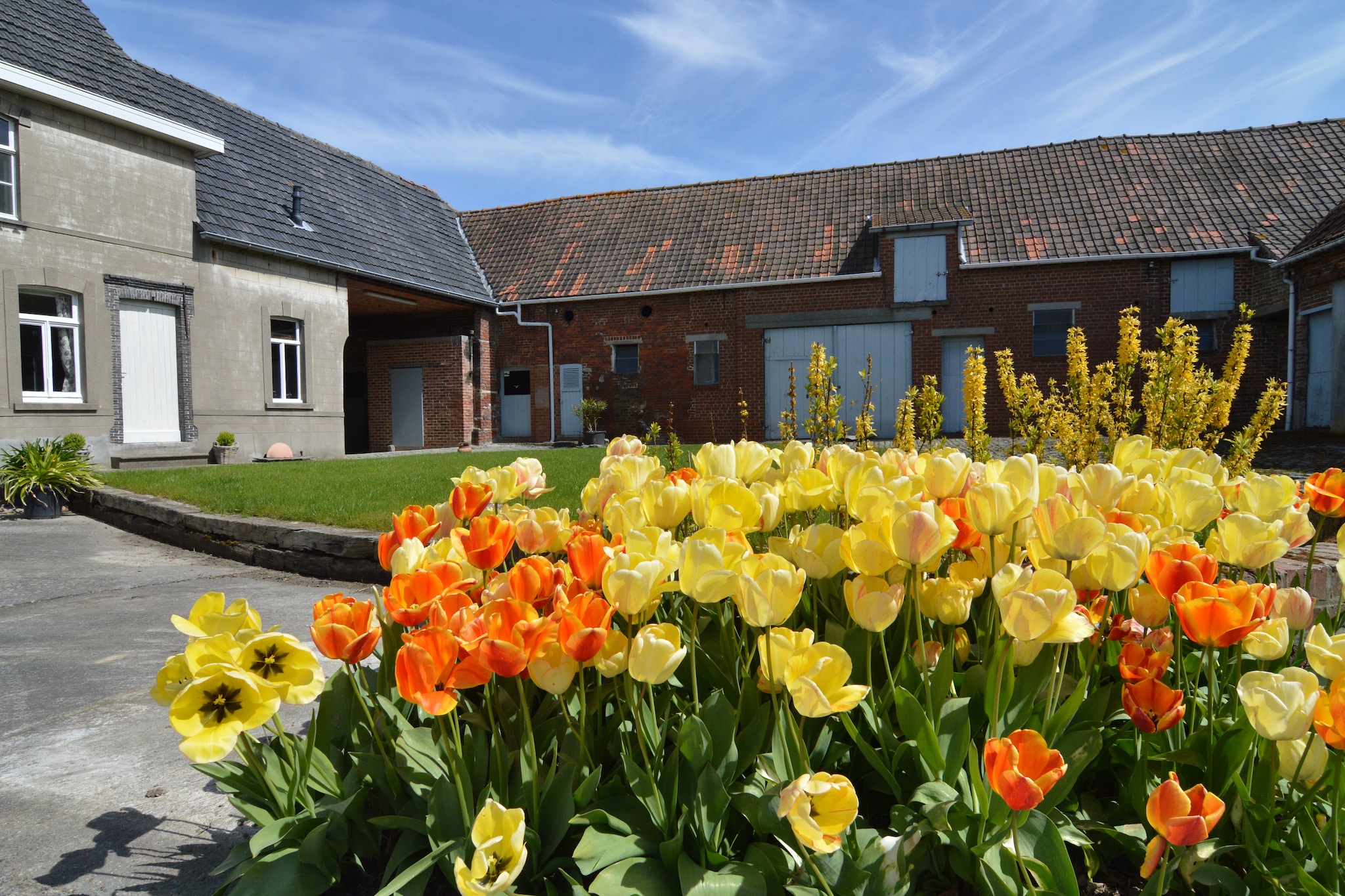 Vakantiehuis Zwalm max. 6 personen 3 slaapkamers #23