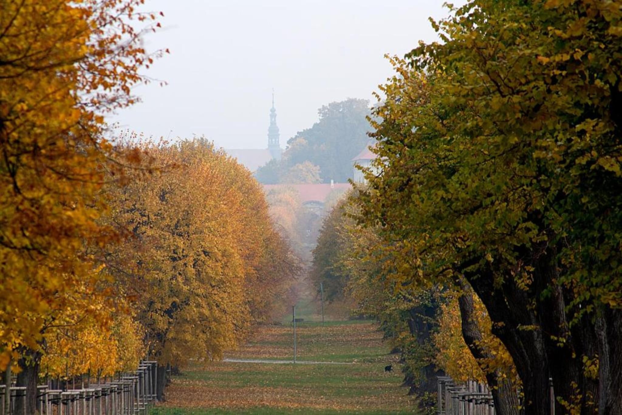 Prachověnka-Gebiete Sommer 20 km