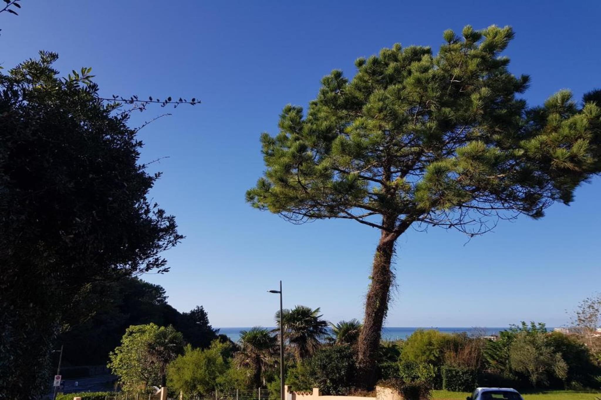 Résidence Les Villas Milady 1-Gebieden zomer 1km
