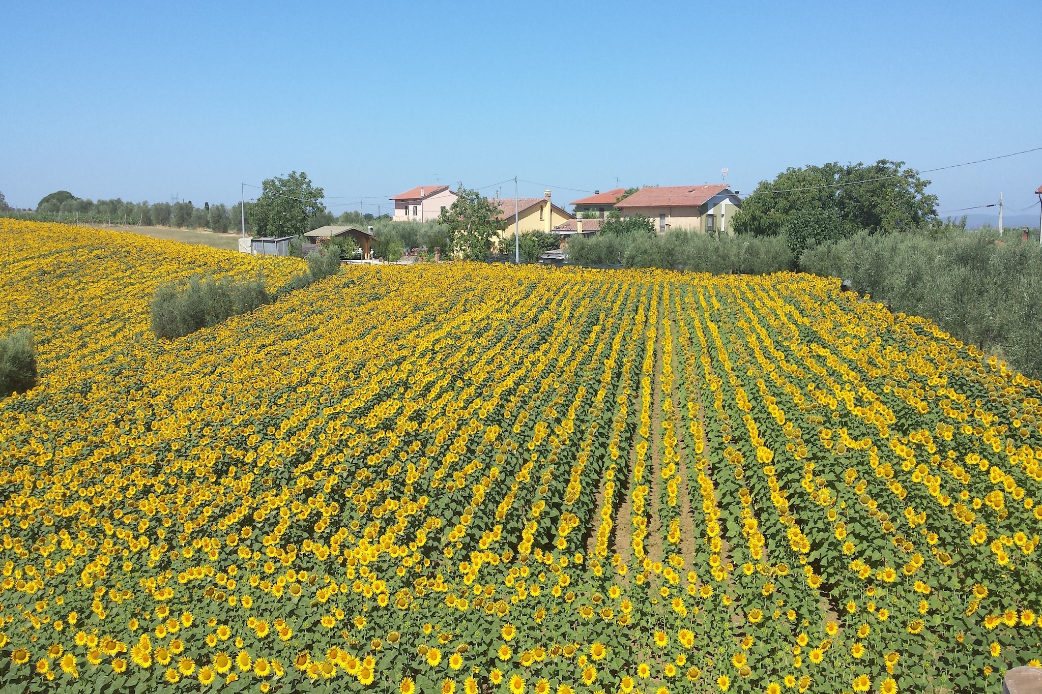 Rustic Charm, Modern Comfort