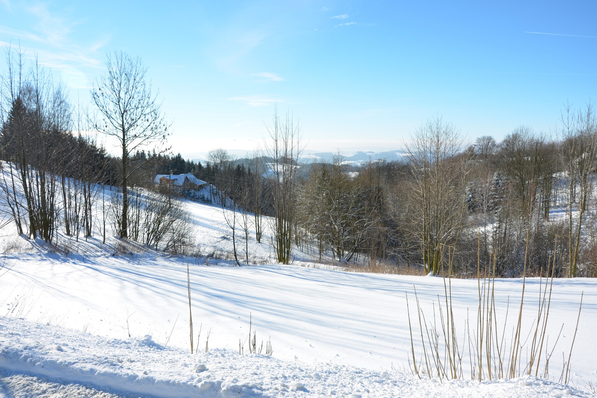 Ground floor: (Living room(TV(satellite)), Kitchen(dining table, cooker(4 ring stoves), coffee machine, microwave, fridge, freezer), bedroom(3x single bed), bathroom(bath tub, washbasin, washing machine), toilet)\n\nOn the 1st floor: (Large kitchen(TV, cooker(4 ring stoves), microwave, fridge(+ freezer)), bedroom(3x single bed), bedroom(2x single bed), bedroom(double bed), bathroom(bath tub, washbasin), toilet, balcony)\n\nBasement: \n\nbalcony, heating(electric), garden(private, 1000 m2), garden furniture(9 persons), parking