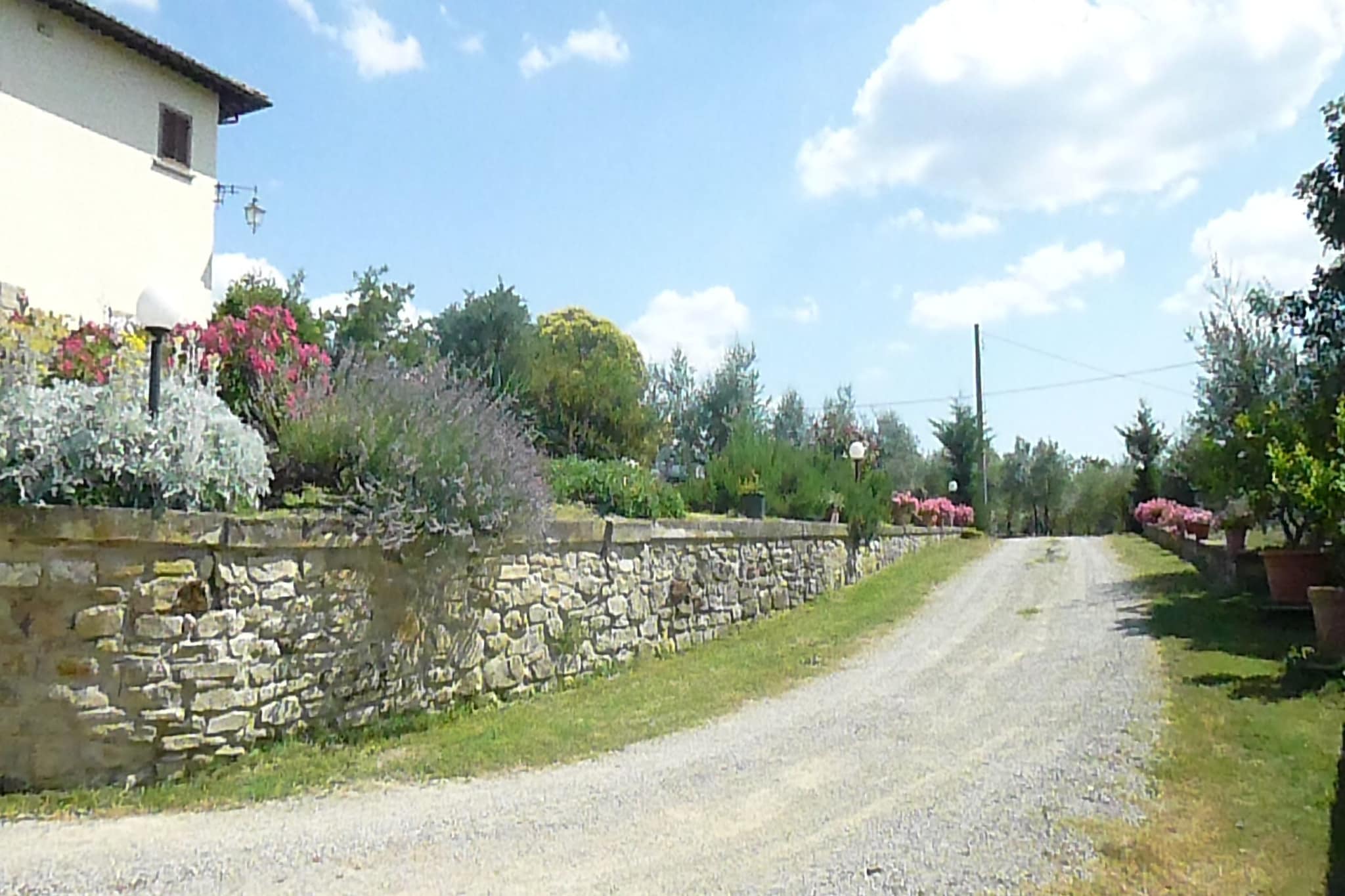 Al Meriggio-Areas summer 1km