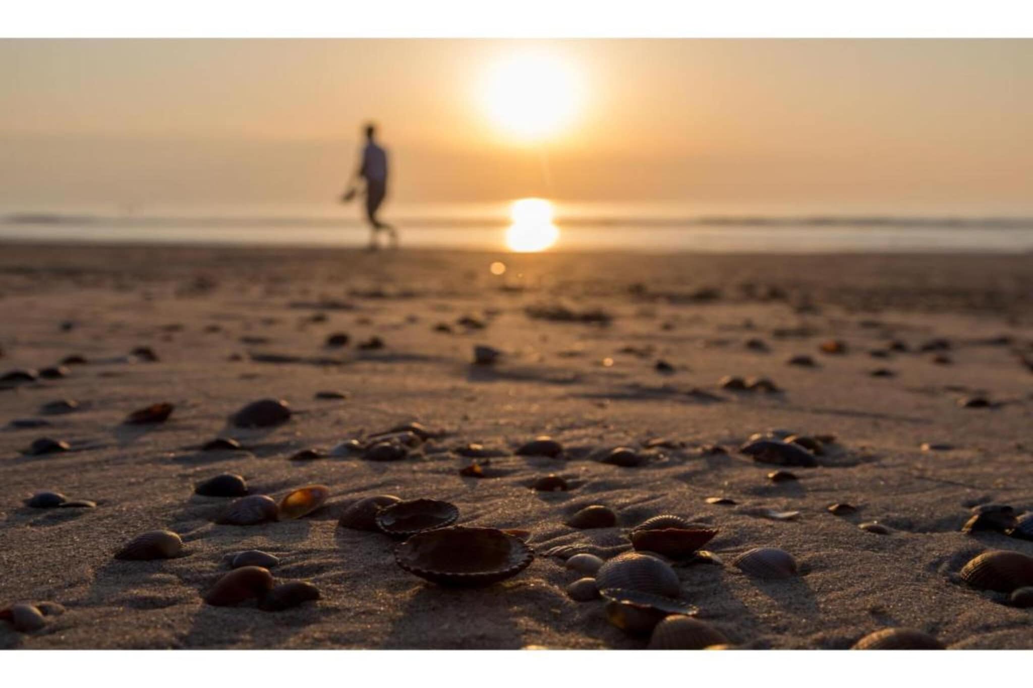 Buitenhof Domburg 1-Gebieden zomer 20km