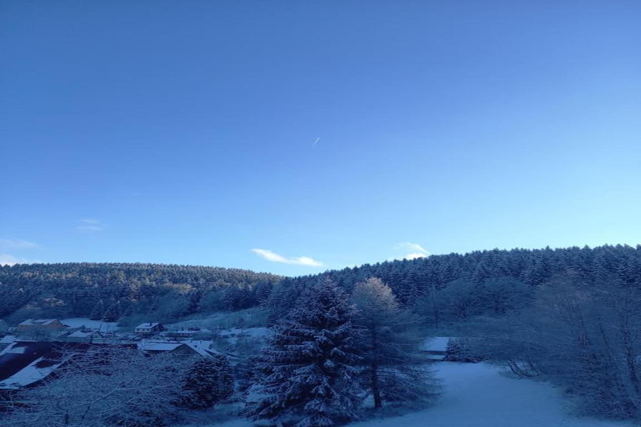 Björn-Gebied winter 20km
