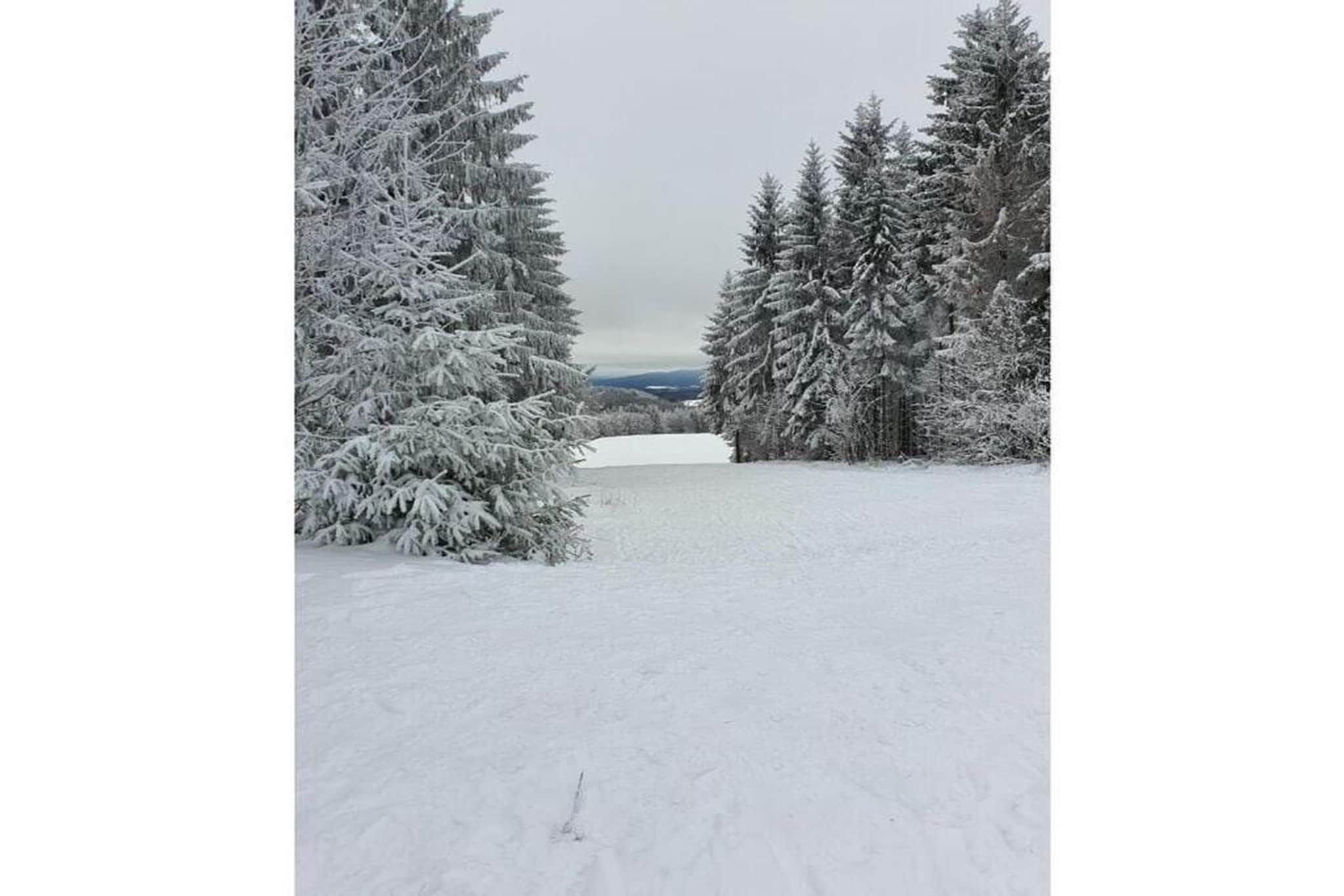 Björn-Gebied winter 20km