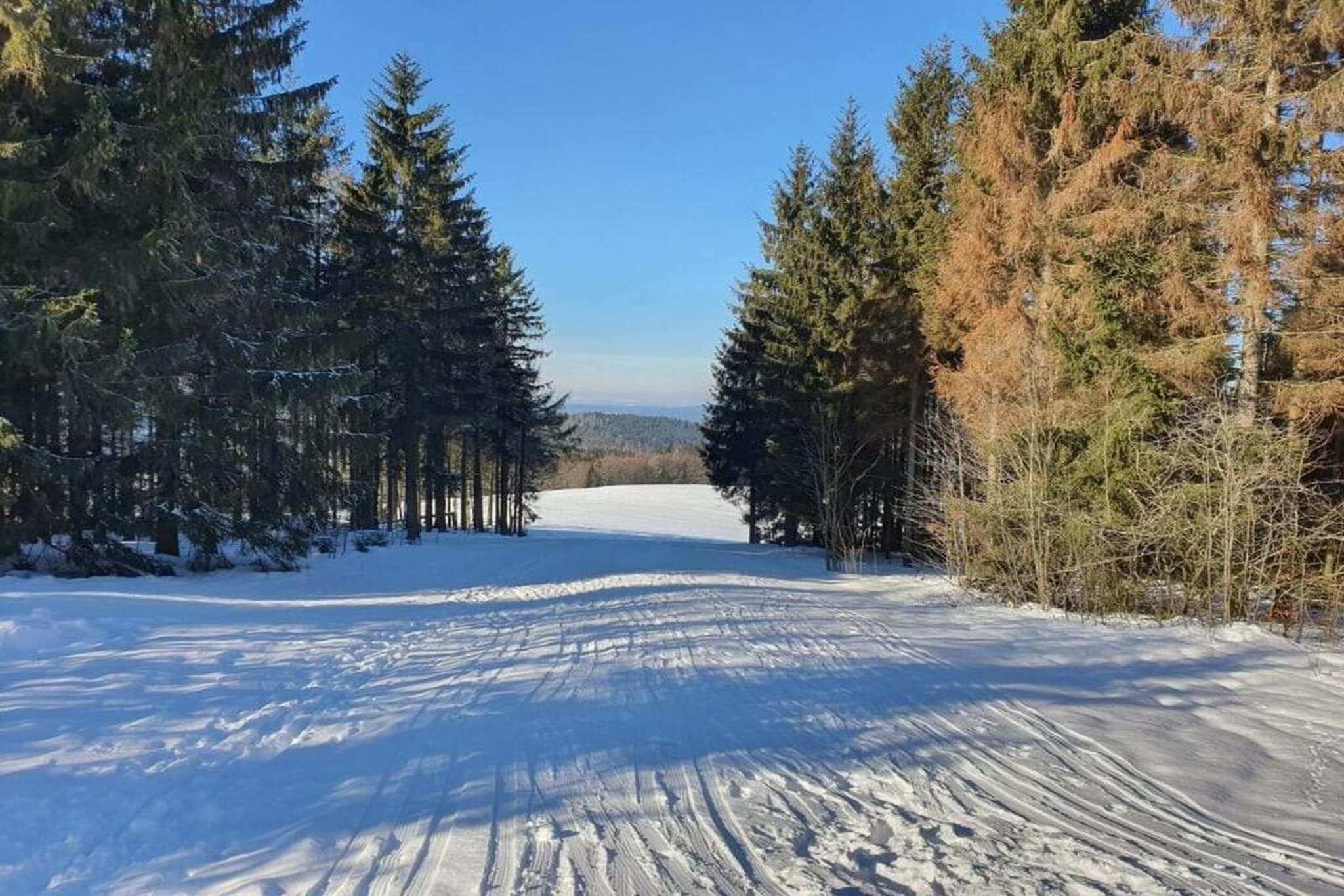Björn-Gebied winter 20km