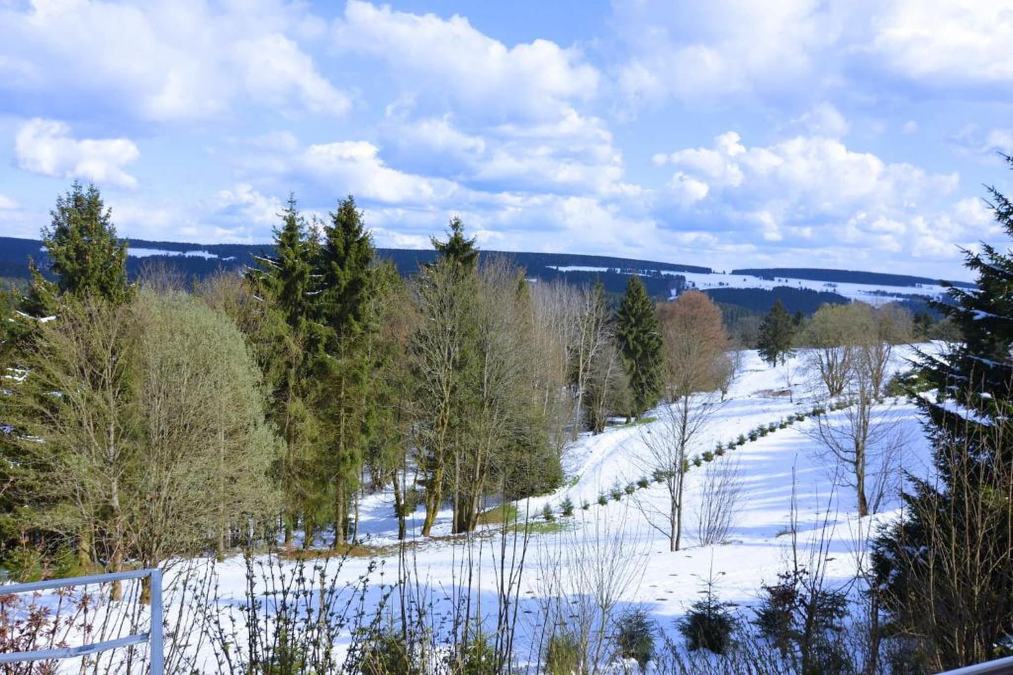 Björn-Gebied winter 20km