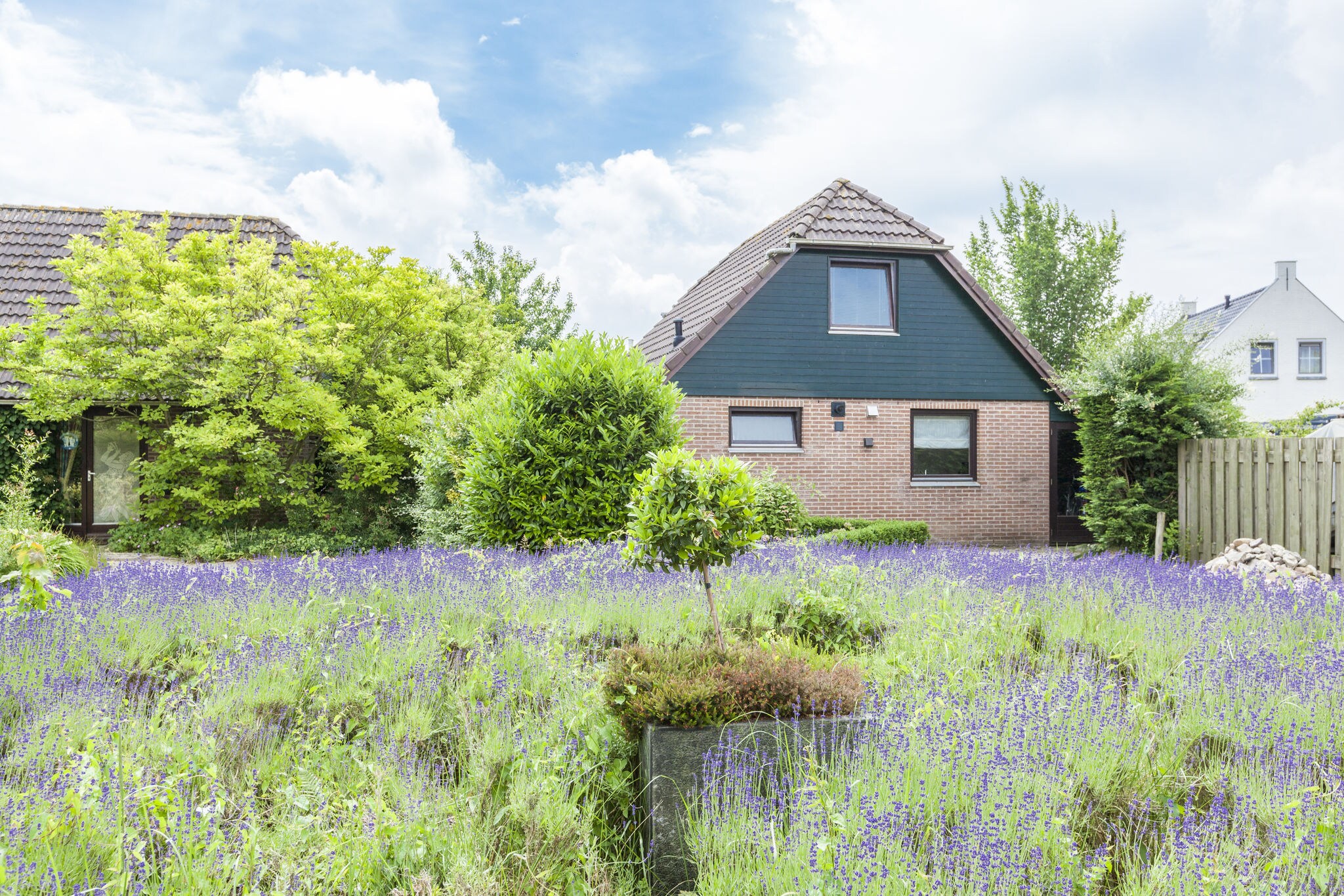 Lovely holiday home in Wolphaartsdijk