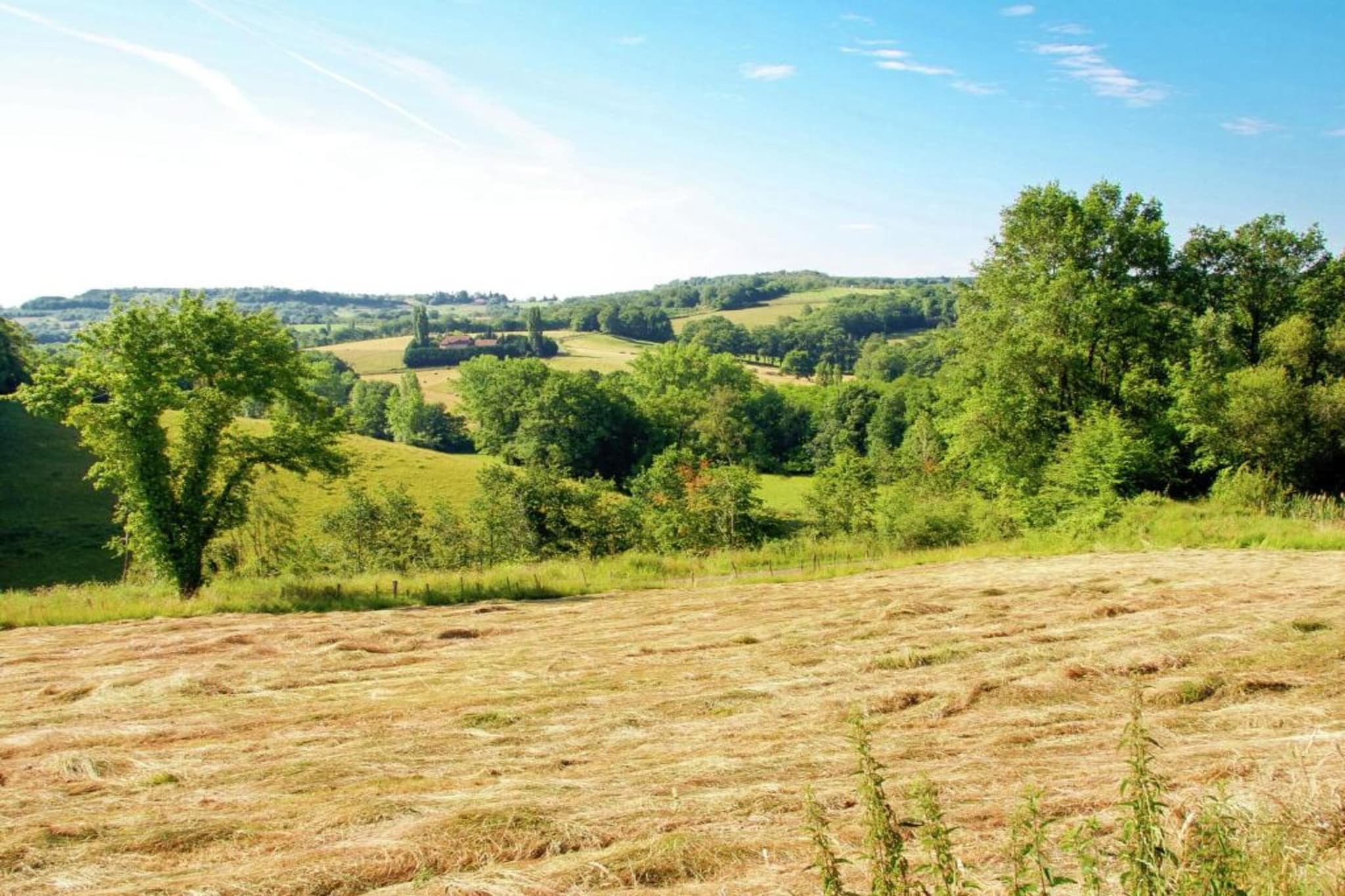 Raffard-Gebieden zomer 5km