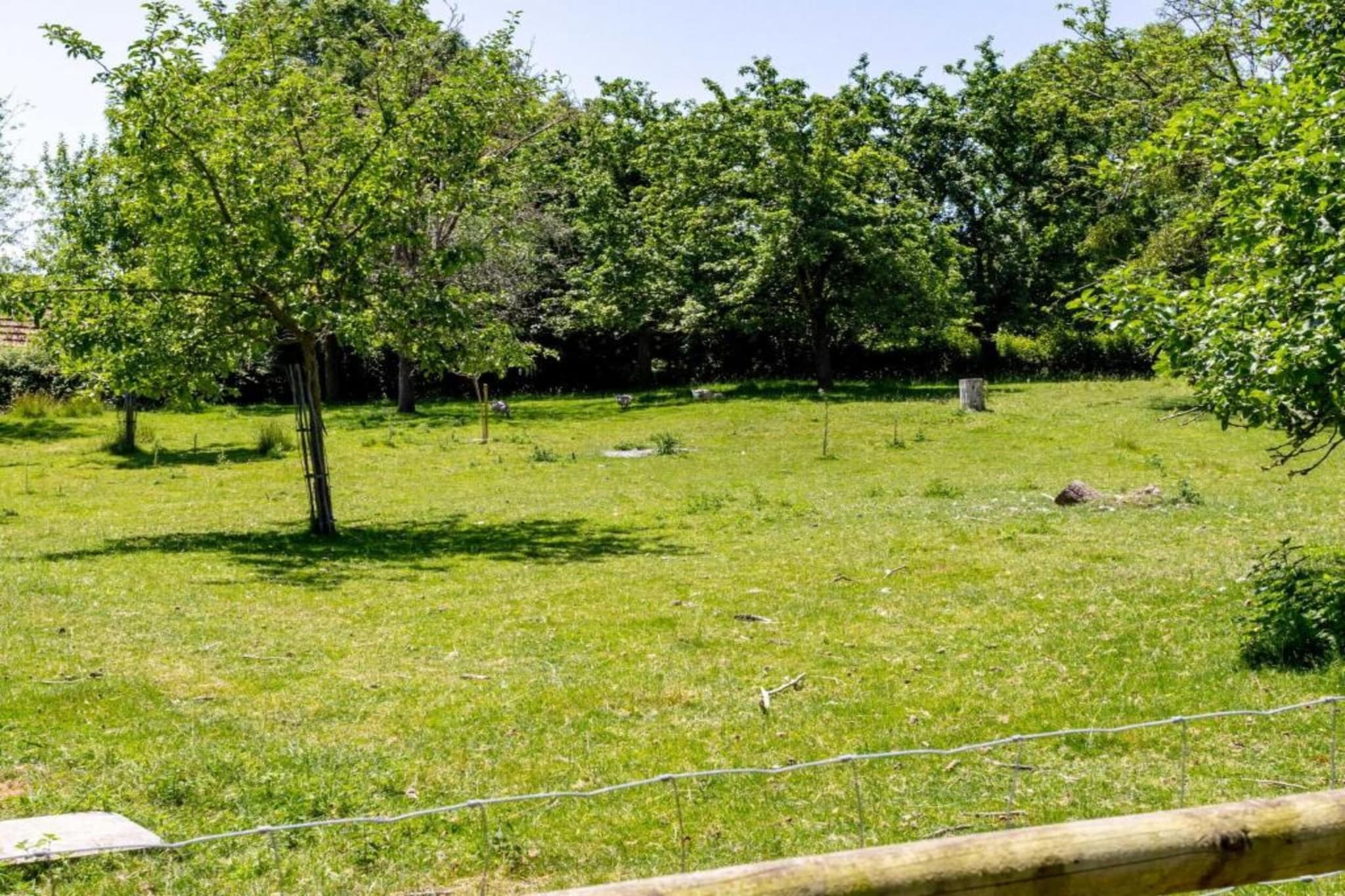 Villa Les Arts-Gebieden zomer 20km
