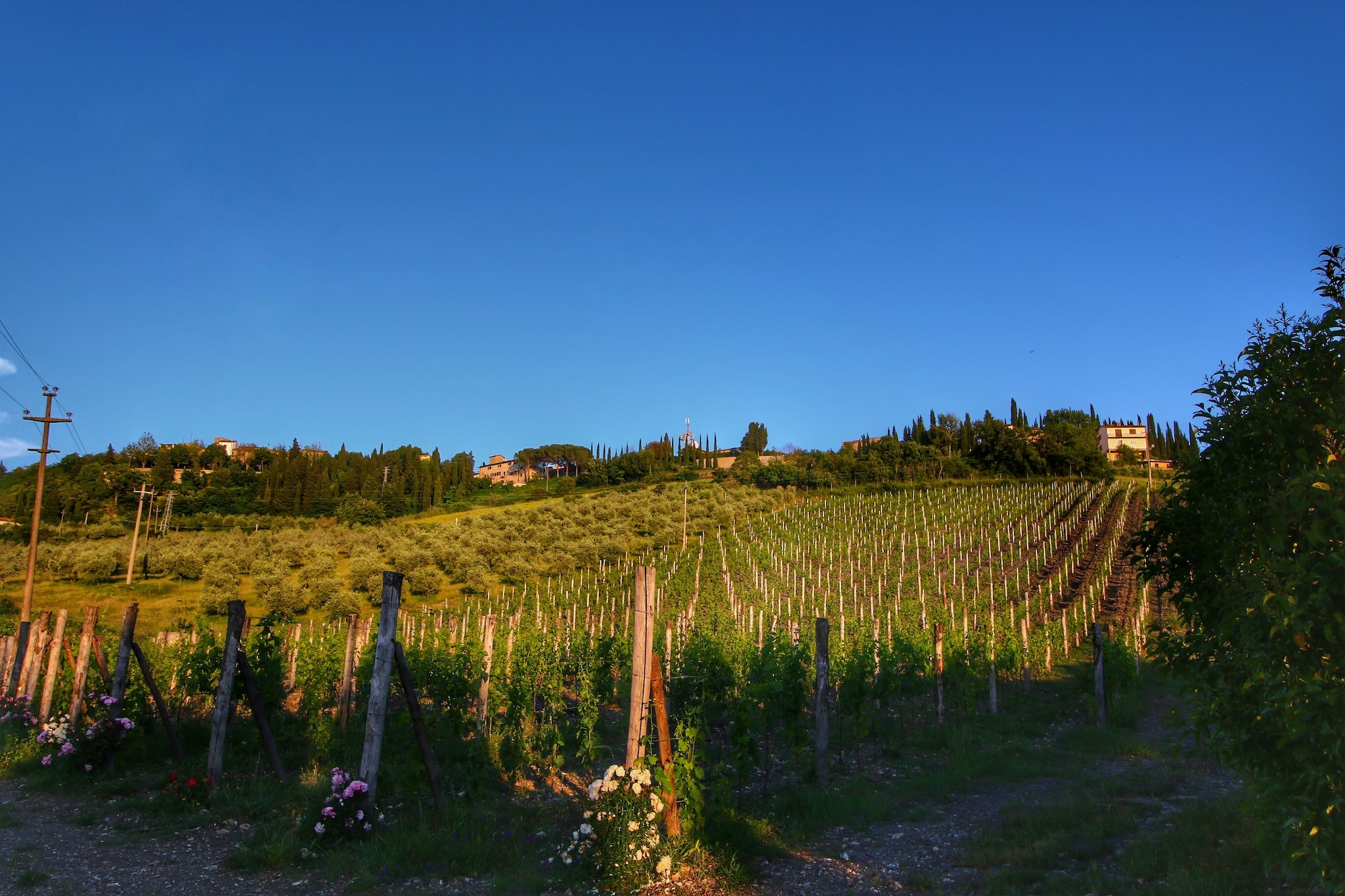Limone-Aussicht Sommer