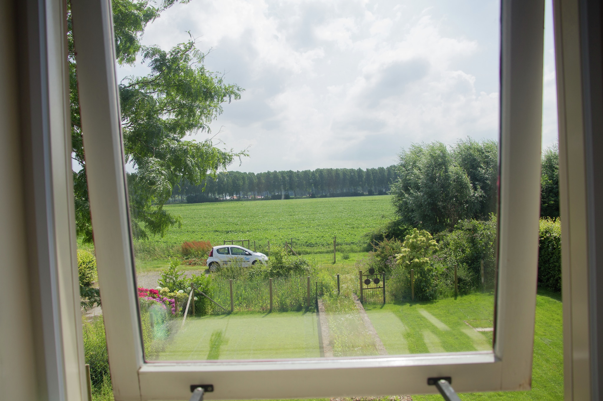 De Biezenknop-Aussicht Sommer