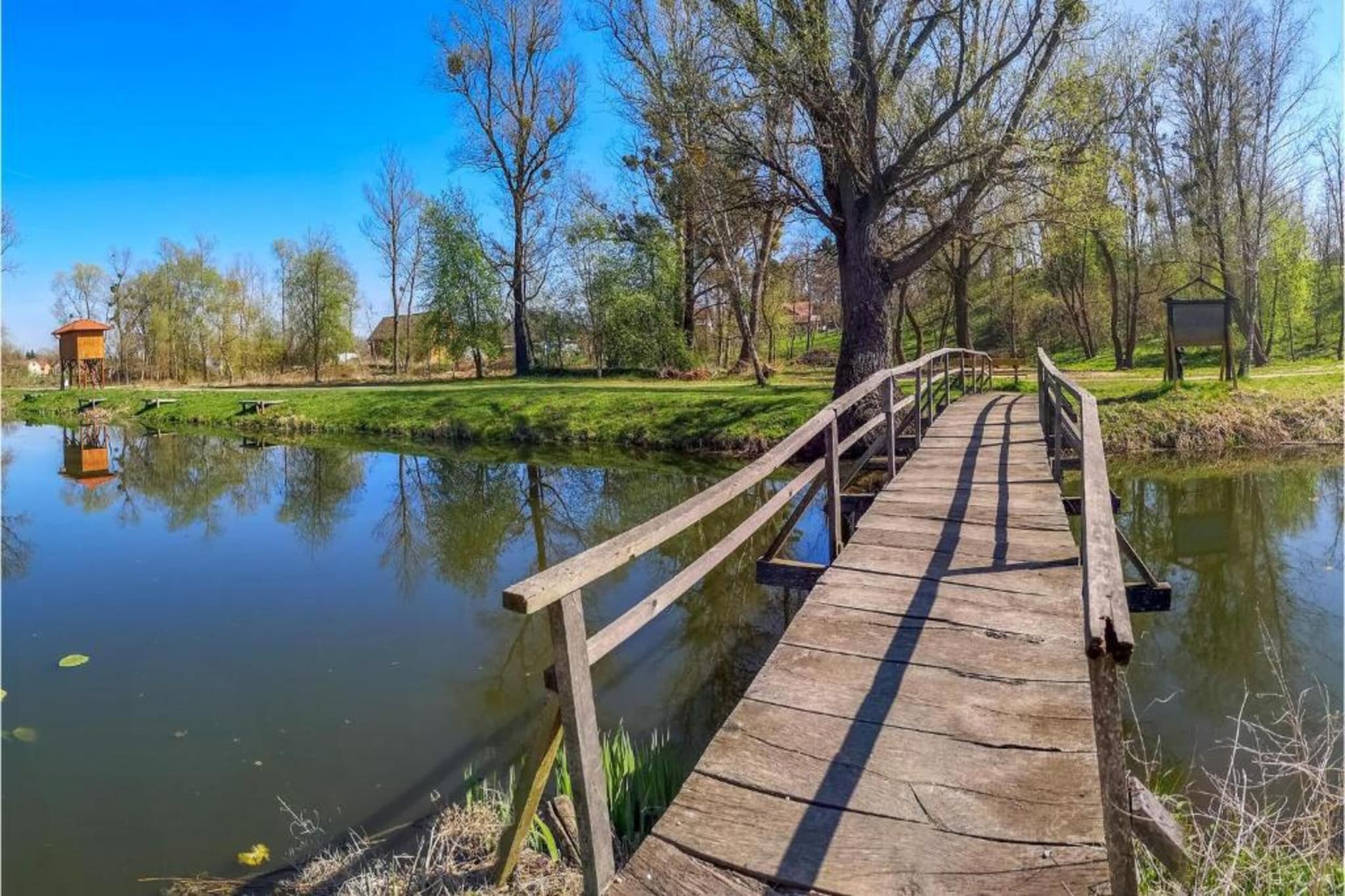Villa Medvidici-Areas summer 20km