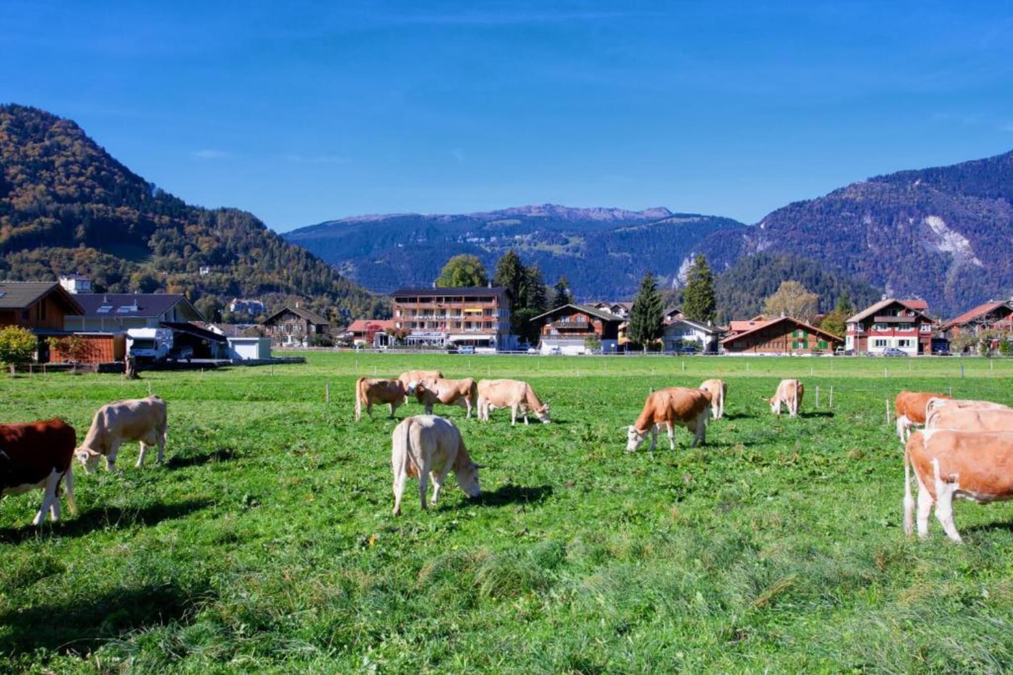 Haus Zumbrunn-Zones d'été à 20 km