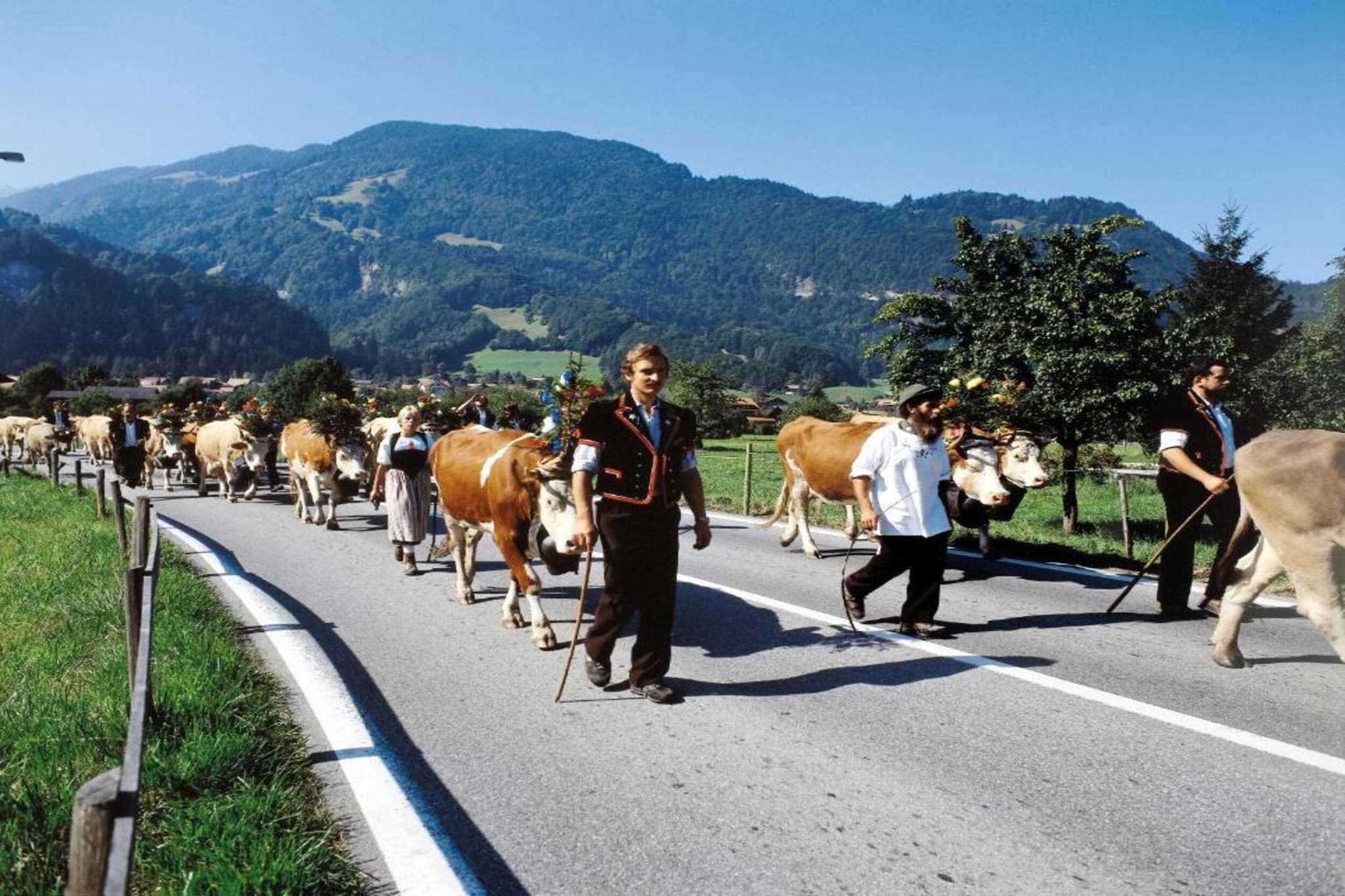 Haus Zumbrunn-Zones d'été à 20 km
