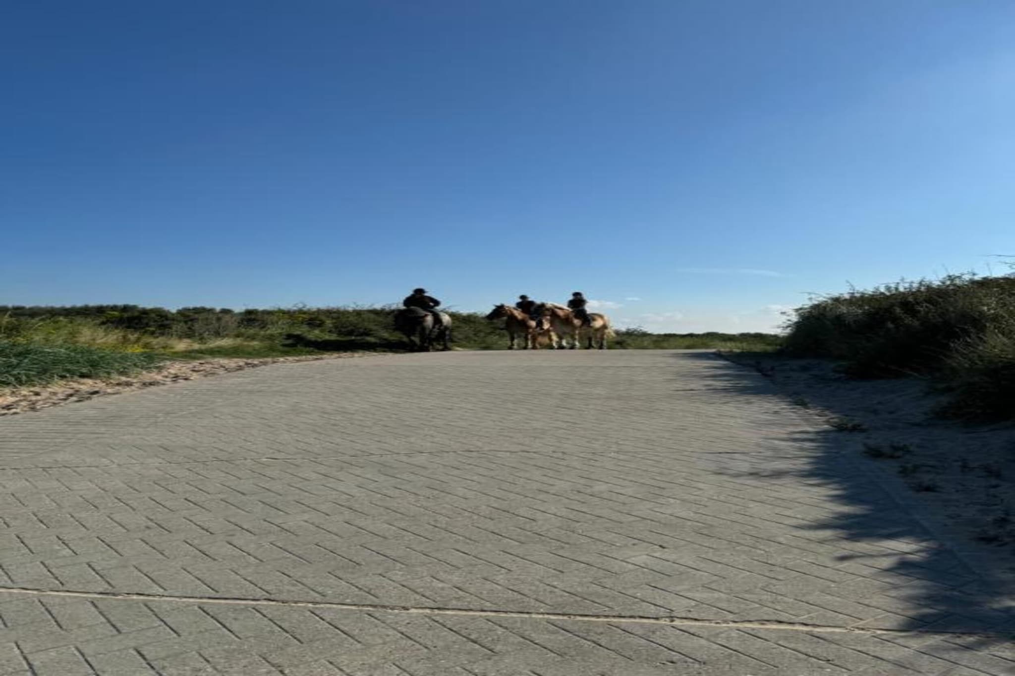 Noordzee Résidence Dishoek 3-Gebieden zomer 5km