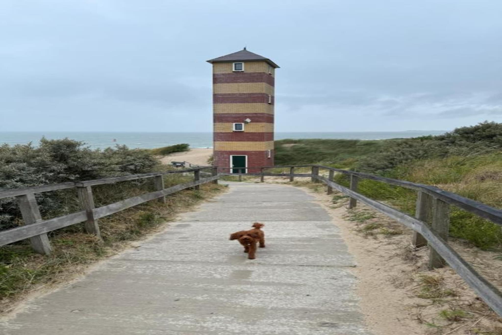 Noordzee Résidence Dishoek 3-Gebieden zomer 5km