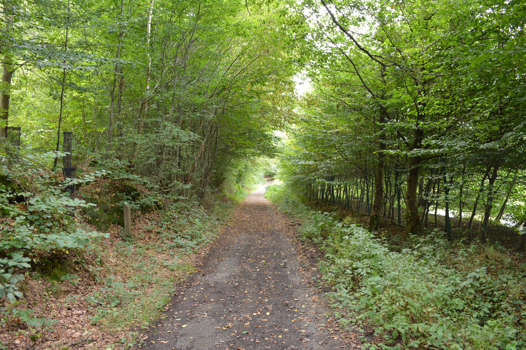 Le Fenil-Gebiete Sommer 1 km