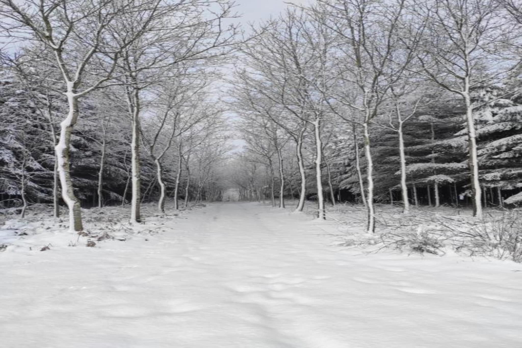 Sapin-Paul-Area winter 20km