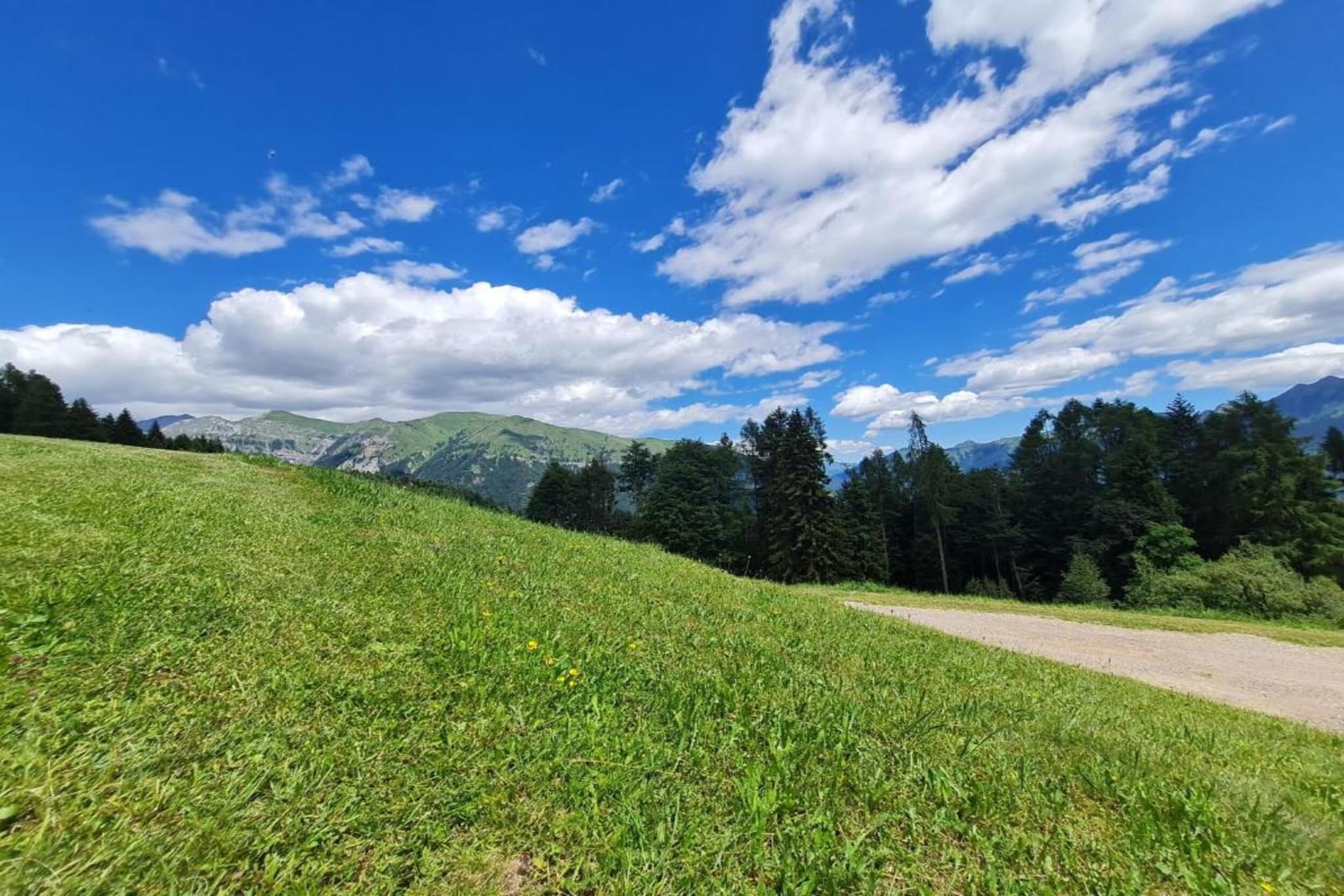 Ronco Frati-Gebieden zomer 20km