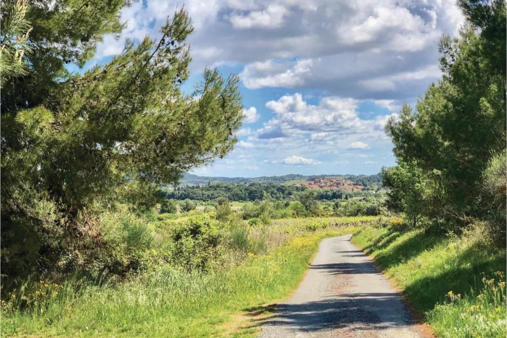 Escales-Gebieden zomer 20km