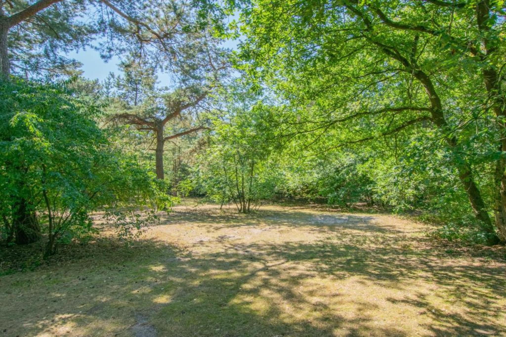 Vakantiepark Sandberghe 6-Gebieden zomer 20km