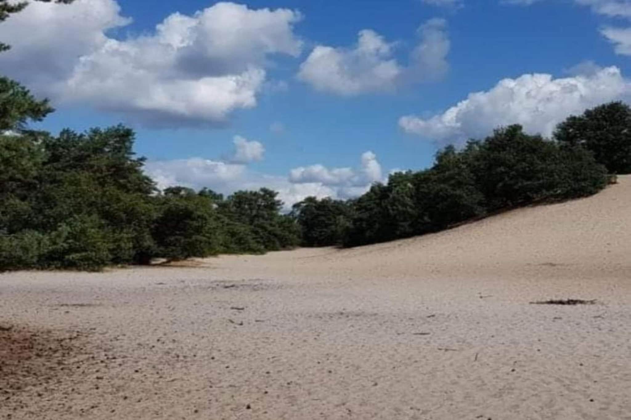 Vakantiepark Sandberghe 6-Gebieden zomer 20km