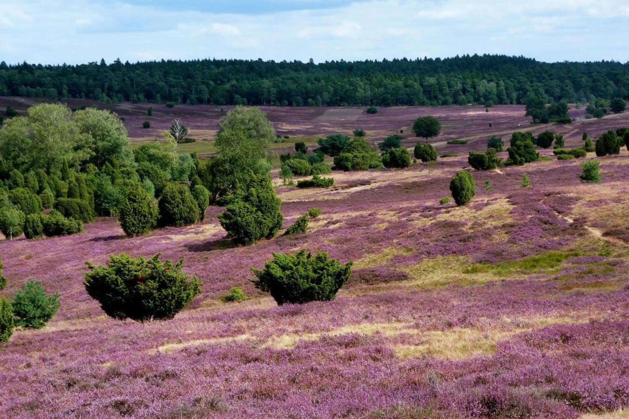 Landgoed De Scheleberg 10-Gebiete Sommer 20 km