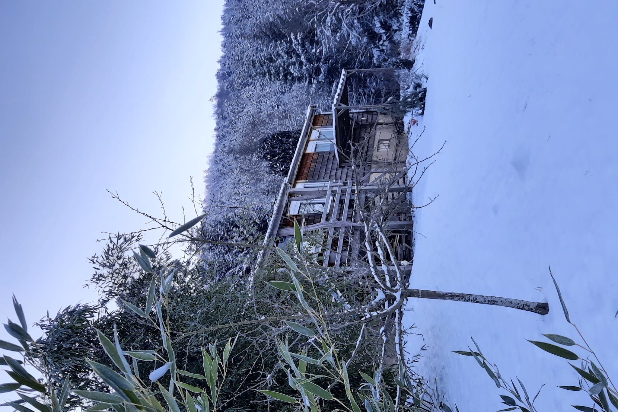 View Winter