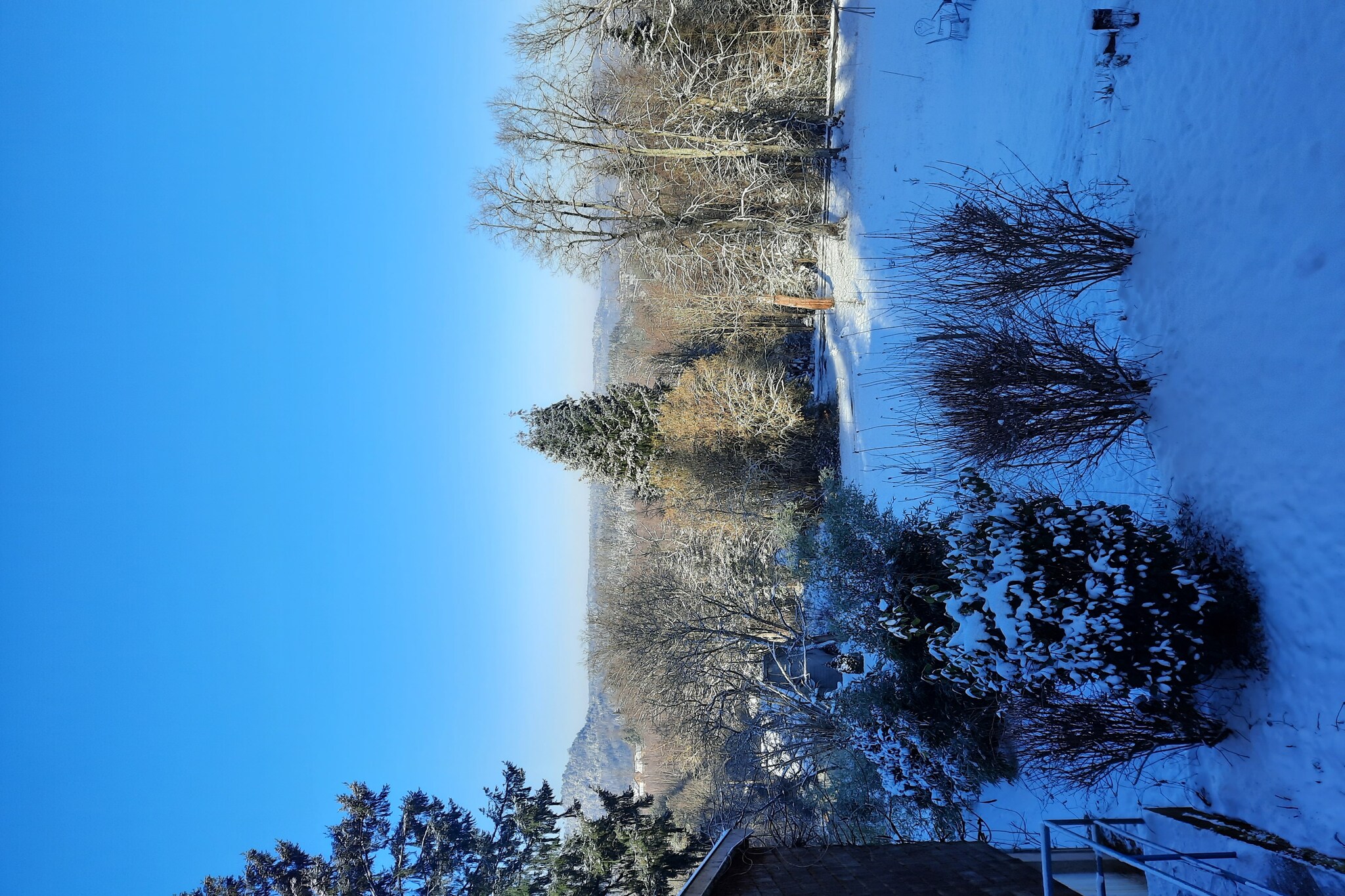 View Winter