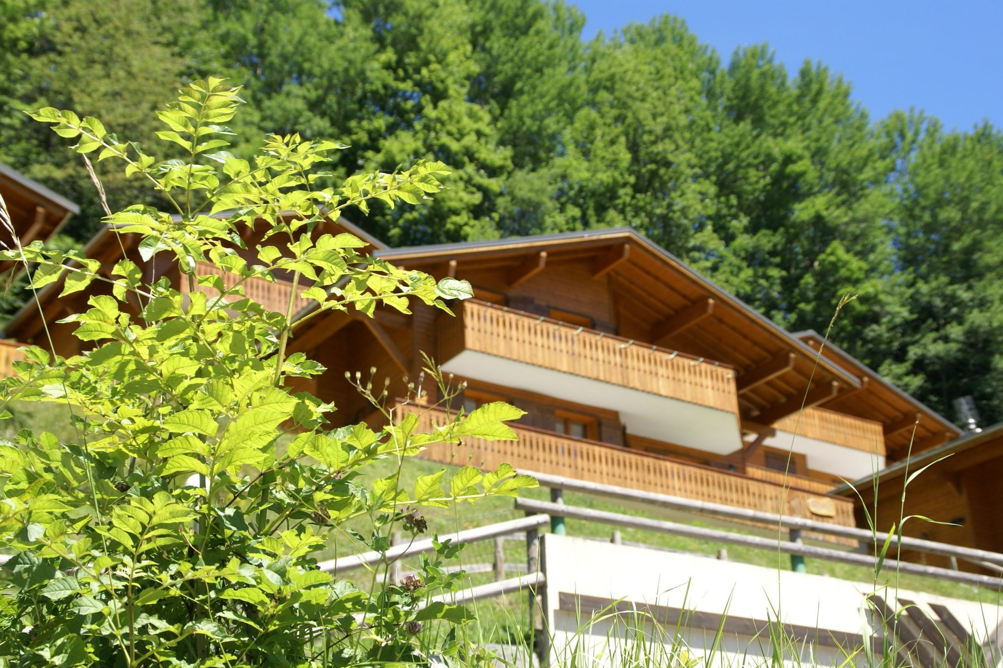 Meadow-View Chalet in Châtel with Garage