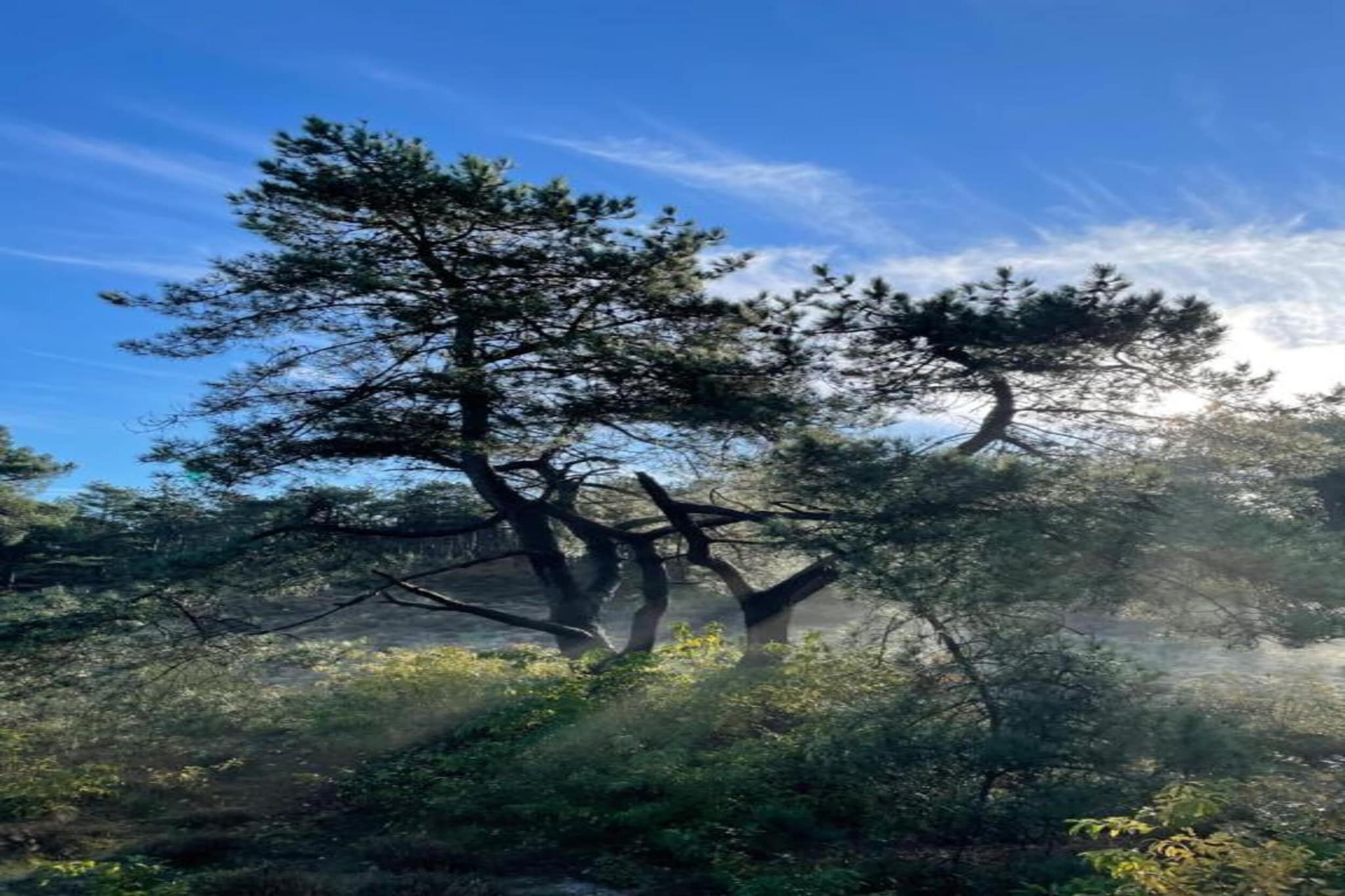 Villa Jean-Zones d'été à 20 km